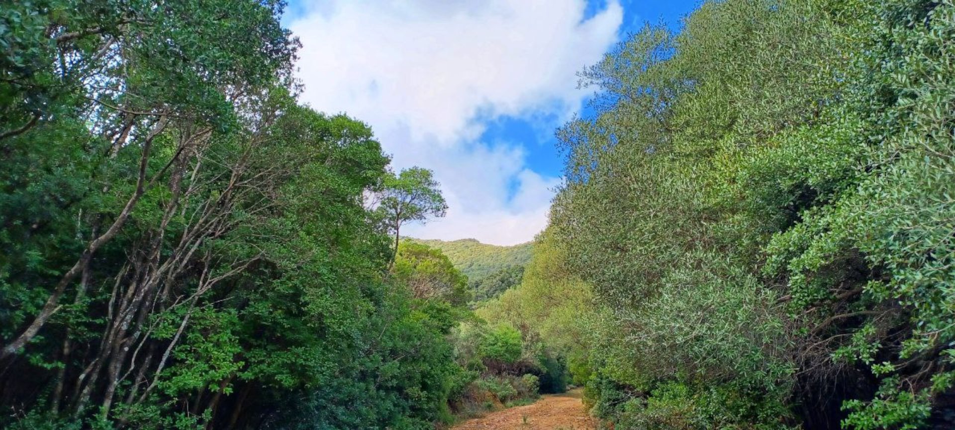 Castiadas: trekking in the S'Acqua Callenti forest - Photo 18