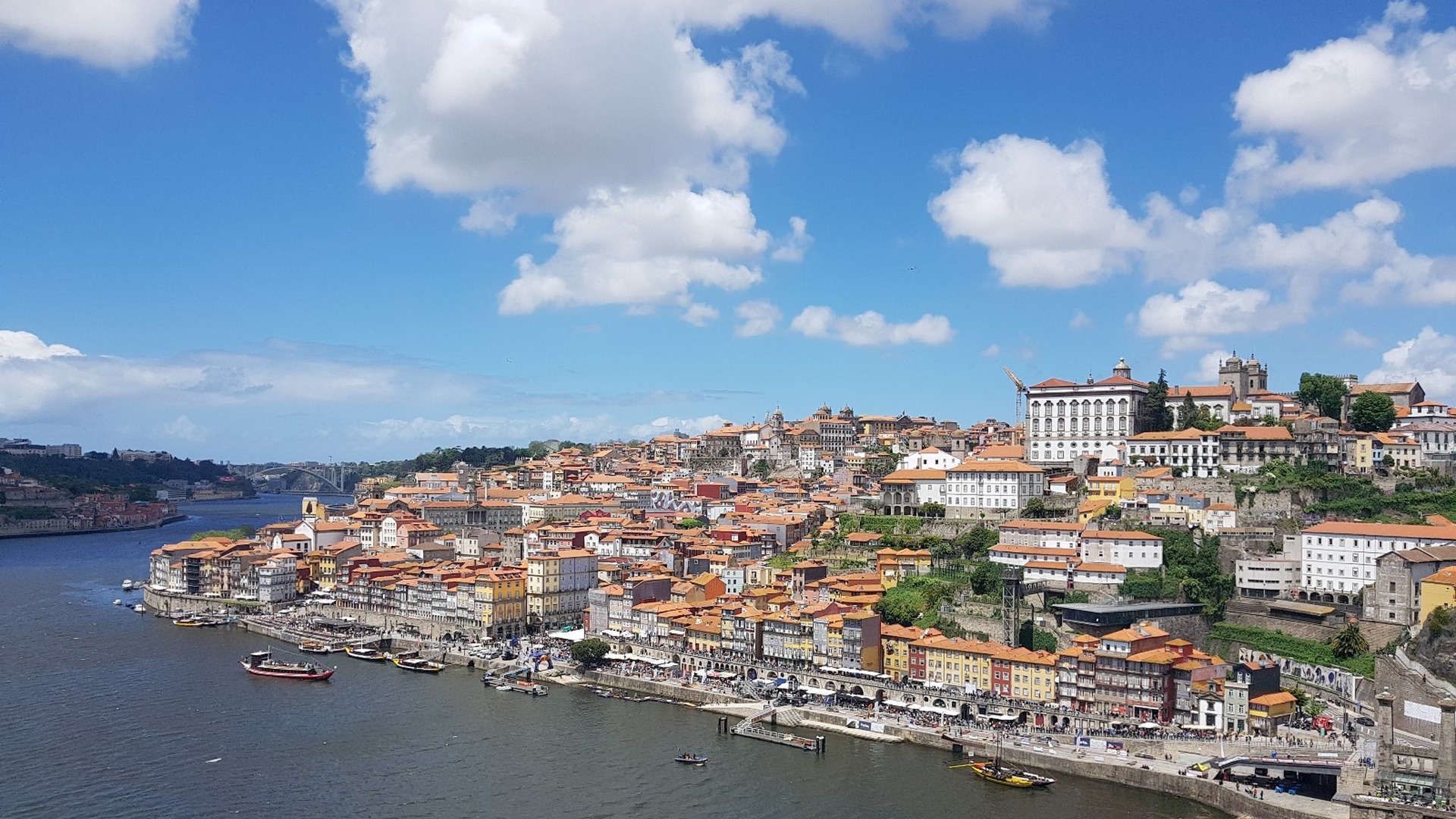 Private Porto Full-Day Tour: Cathedral, Lello and Wine Tastings - Photo 26