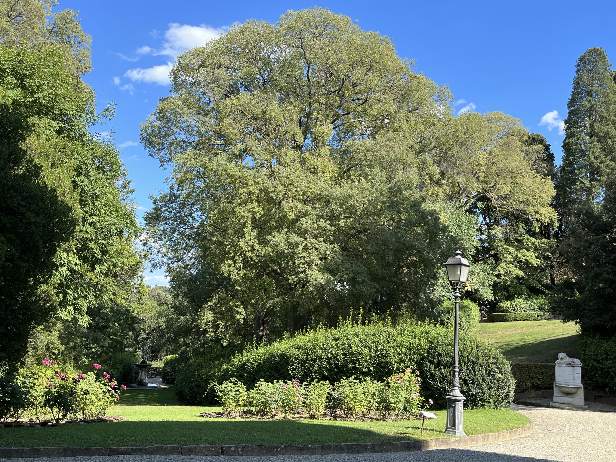 Florence: David, Pitti Palace, & Gardens Combination Tickets - Photo 42