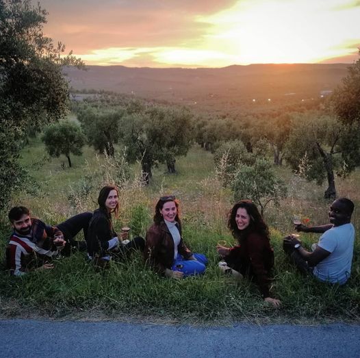 Discovering extra virgin olive oil - Photo 8