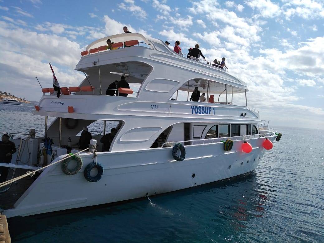 Sataya Dolphin Reef Snorkeling Trip from Port Ghalib