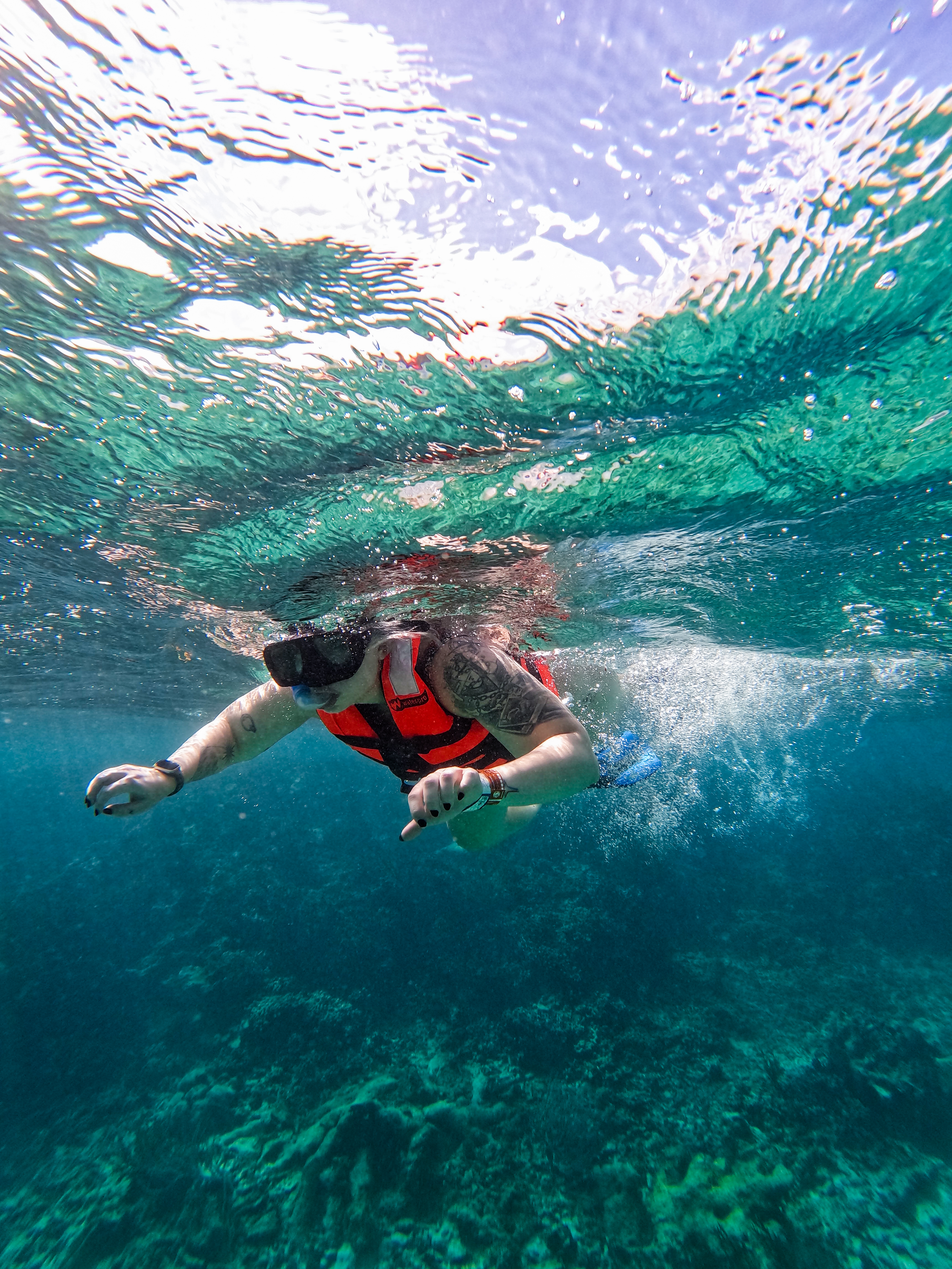 2 horas de Snorkeling en dos puntos del arrecife de Tulum — 66/78