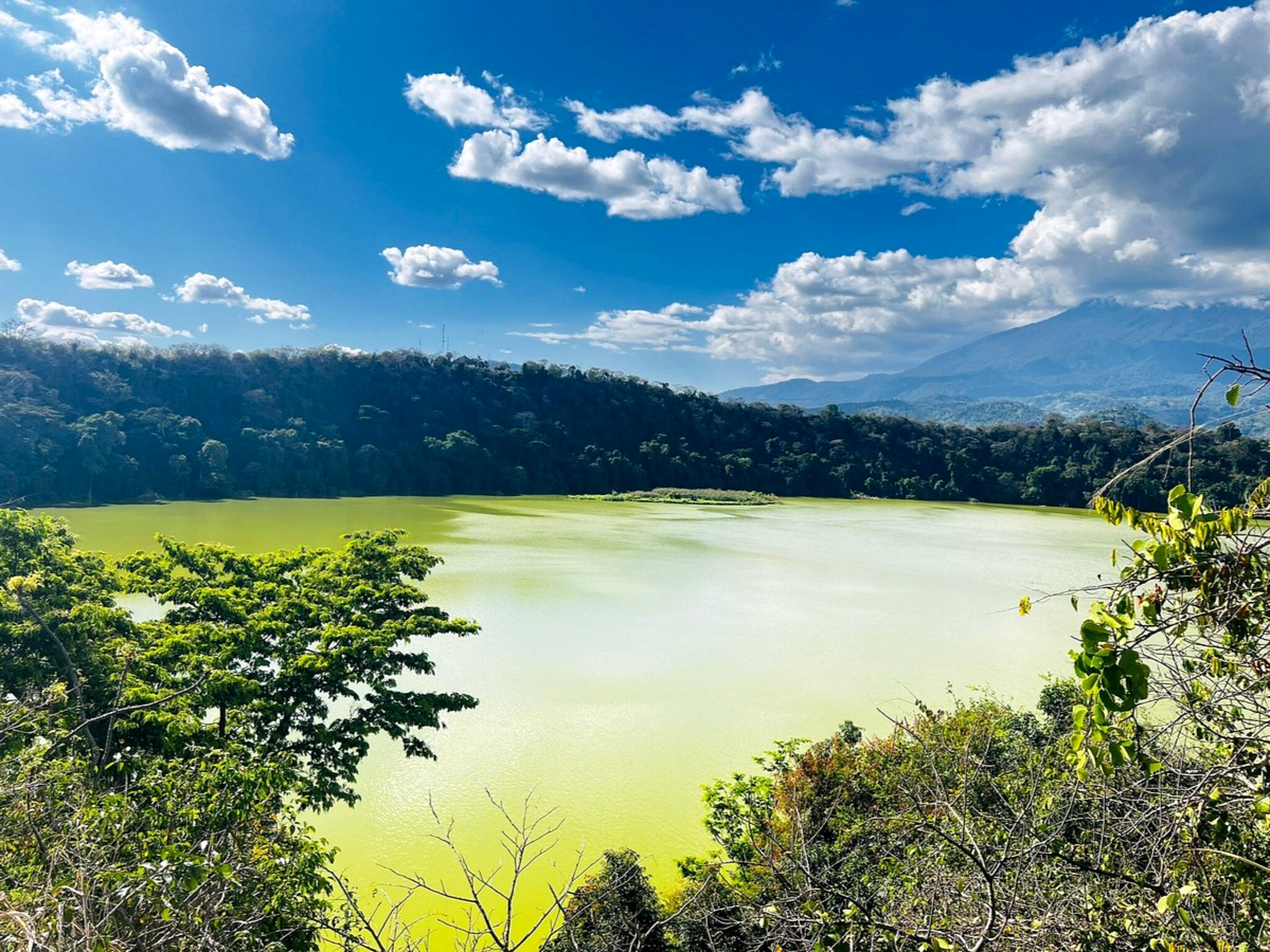 Arusha: piragüismo en el lago Duluti | Observación de aves | Excursión de un día a pie por la naturaleza - Foto 2
