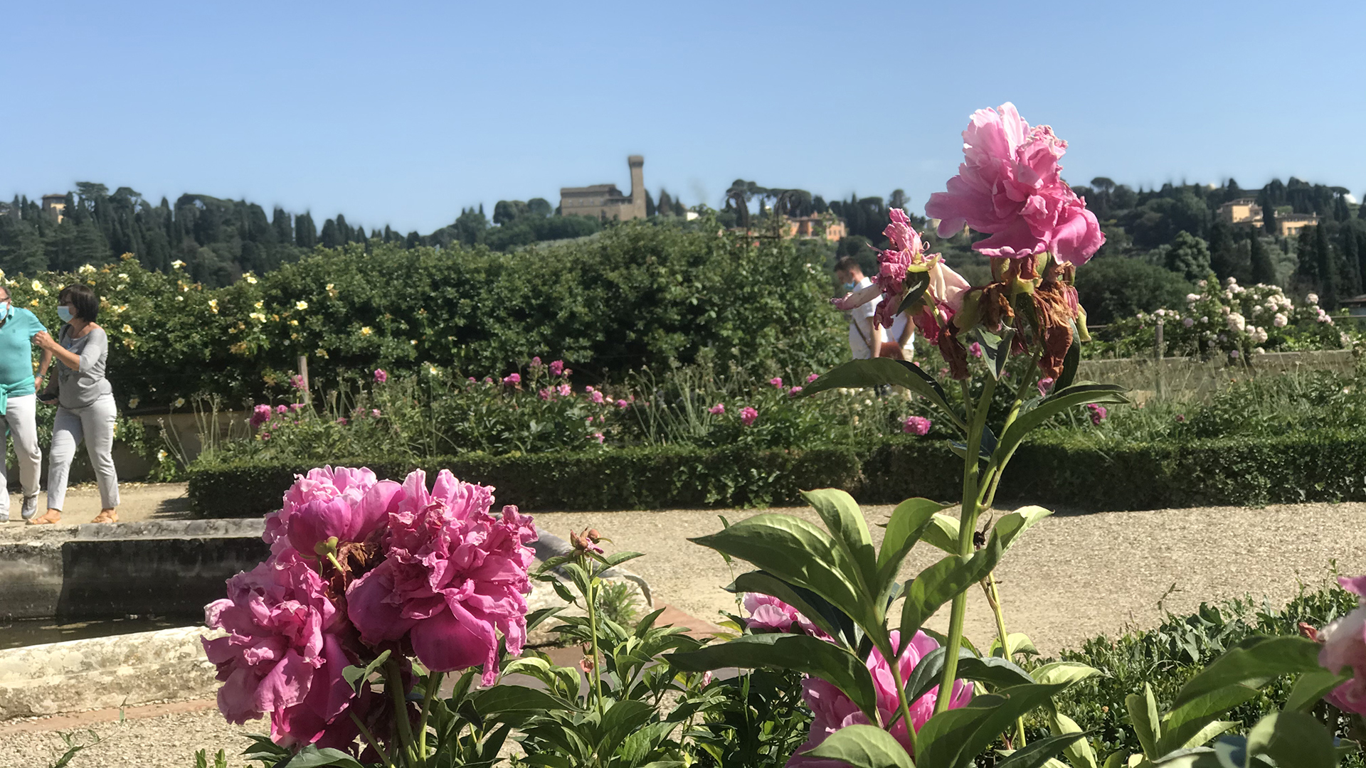 Pitti Palace & Boboli  Gardens tour with a local Guide - Photo 12