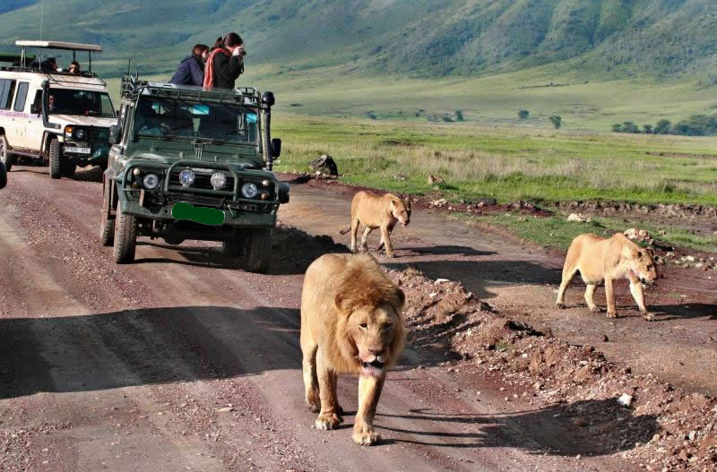 8 días de safari africano por Masai Mara, lago Manyara, Ngorongoro y Serengeti - Foto 3