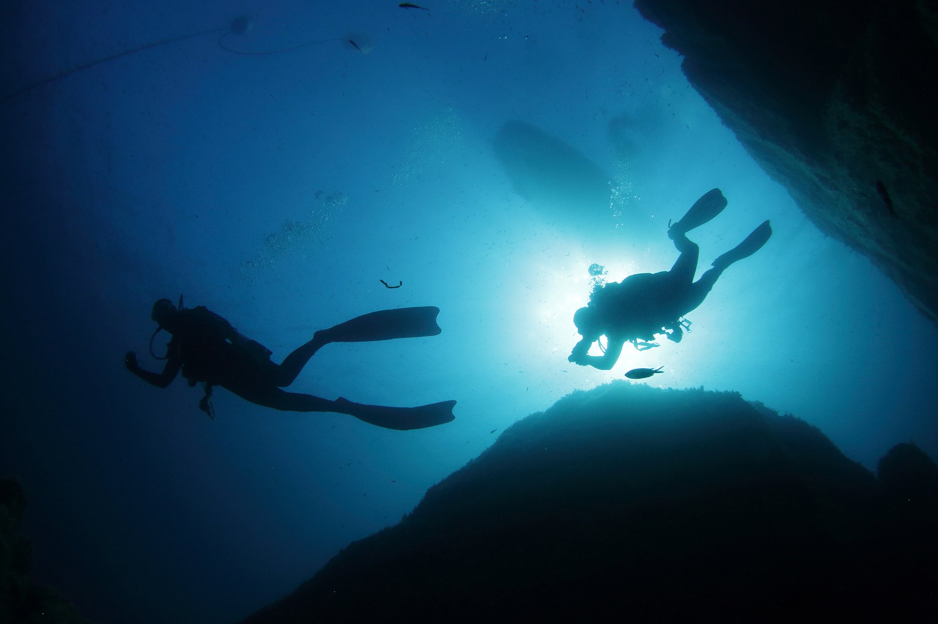 From San Teodoro: diving for professionals in Tavolara and Molara - Photo 5