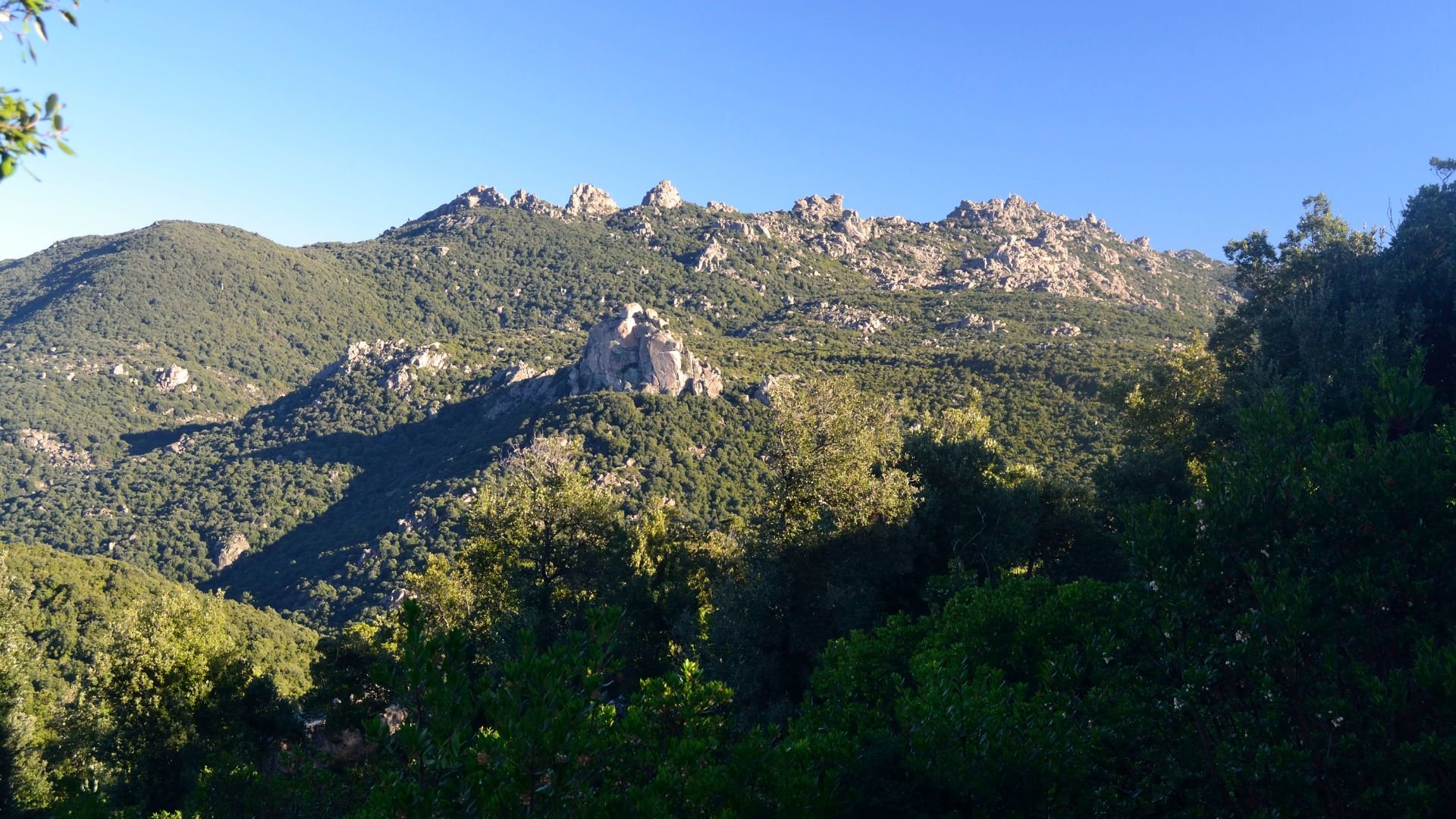 Castiadas: trekking in the S'Acqua Callenti forest - Photo 16