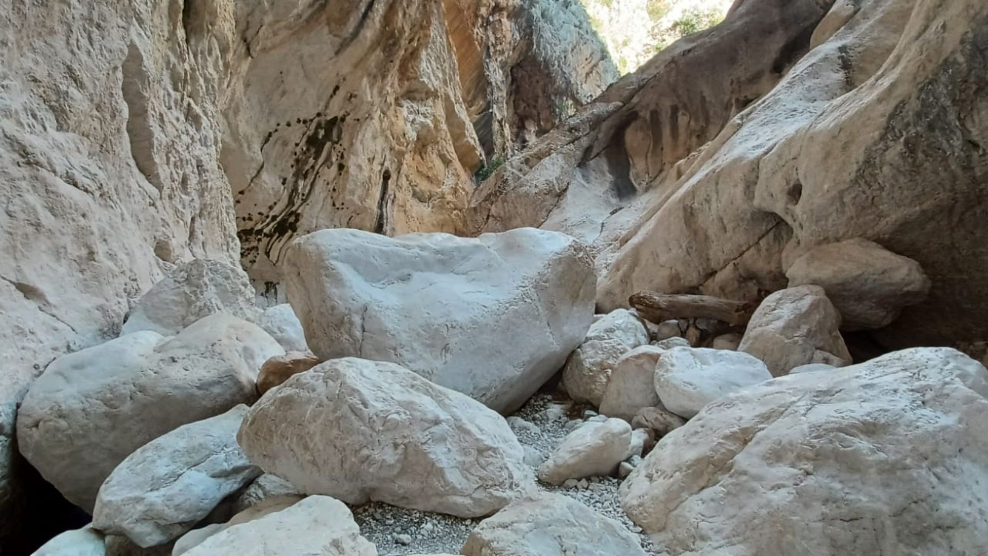From Urzulei: trekking in the Gorropu canyon - Photo 12