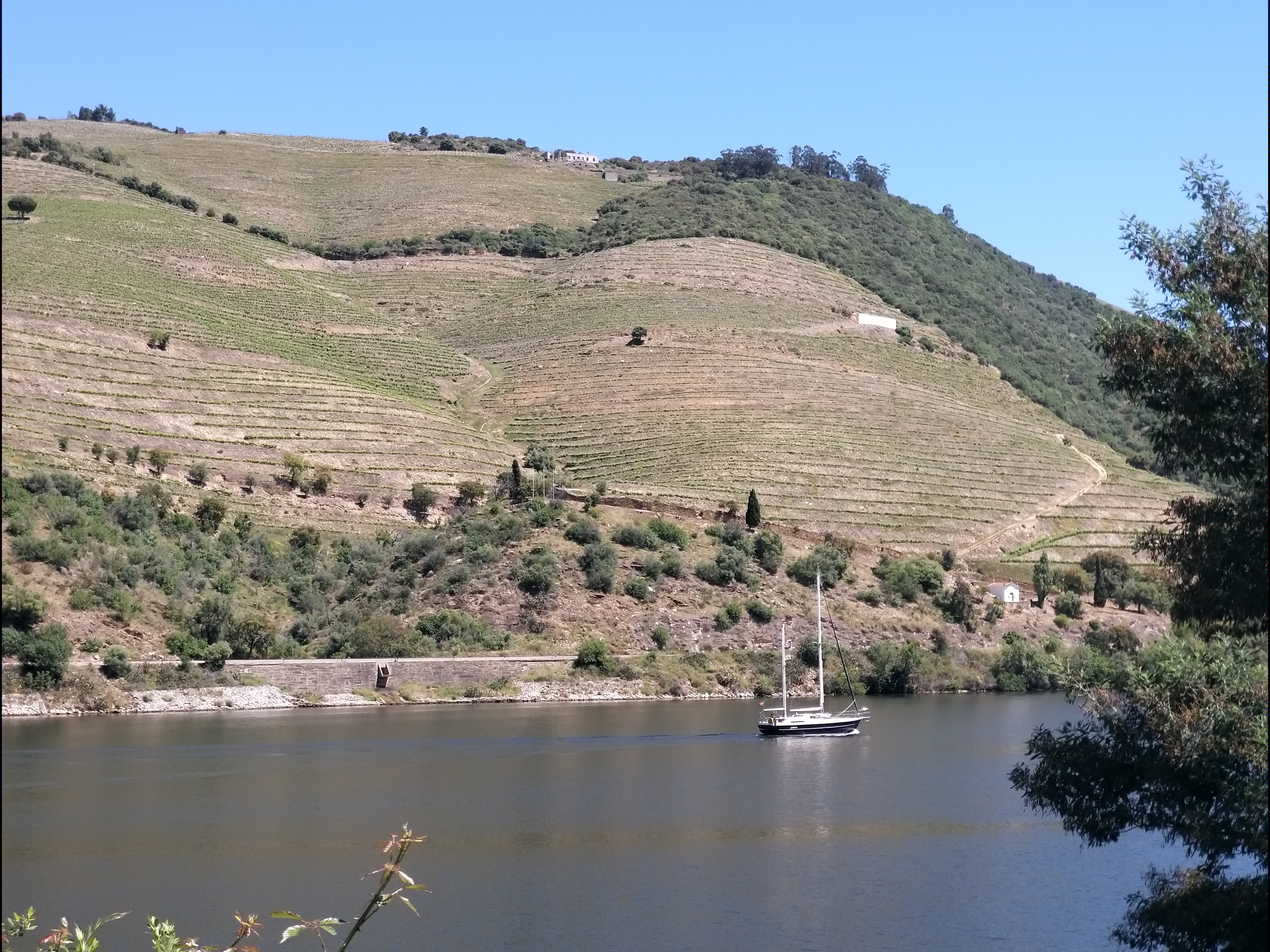 Private car transfer from Porto to Pinhão - Photo 2