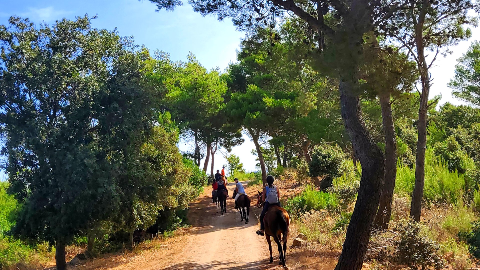 Castelsardo: horseback in Sedini - Photo 14