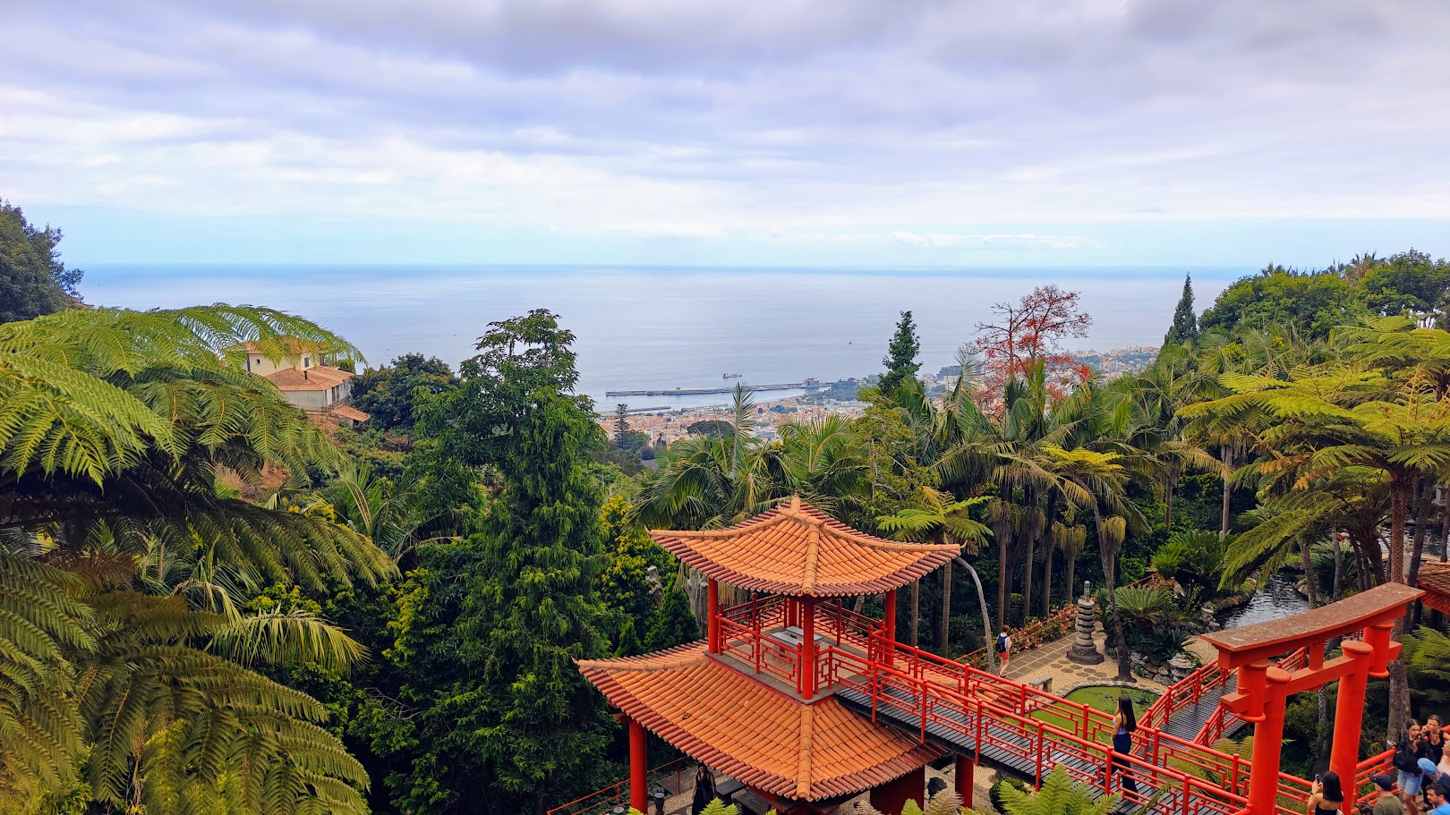 Bokun tour photo