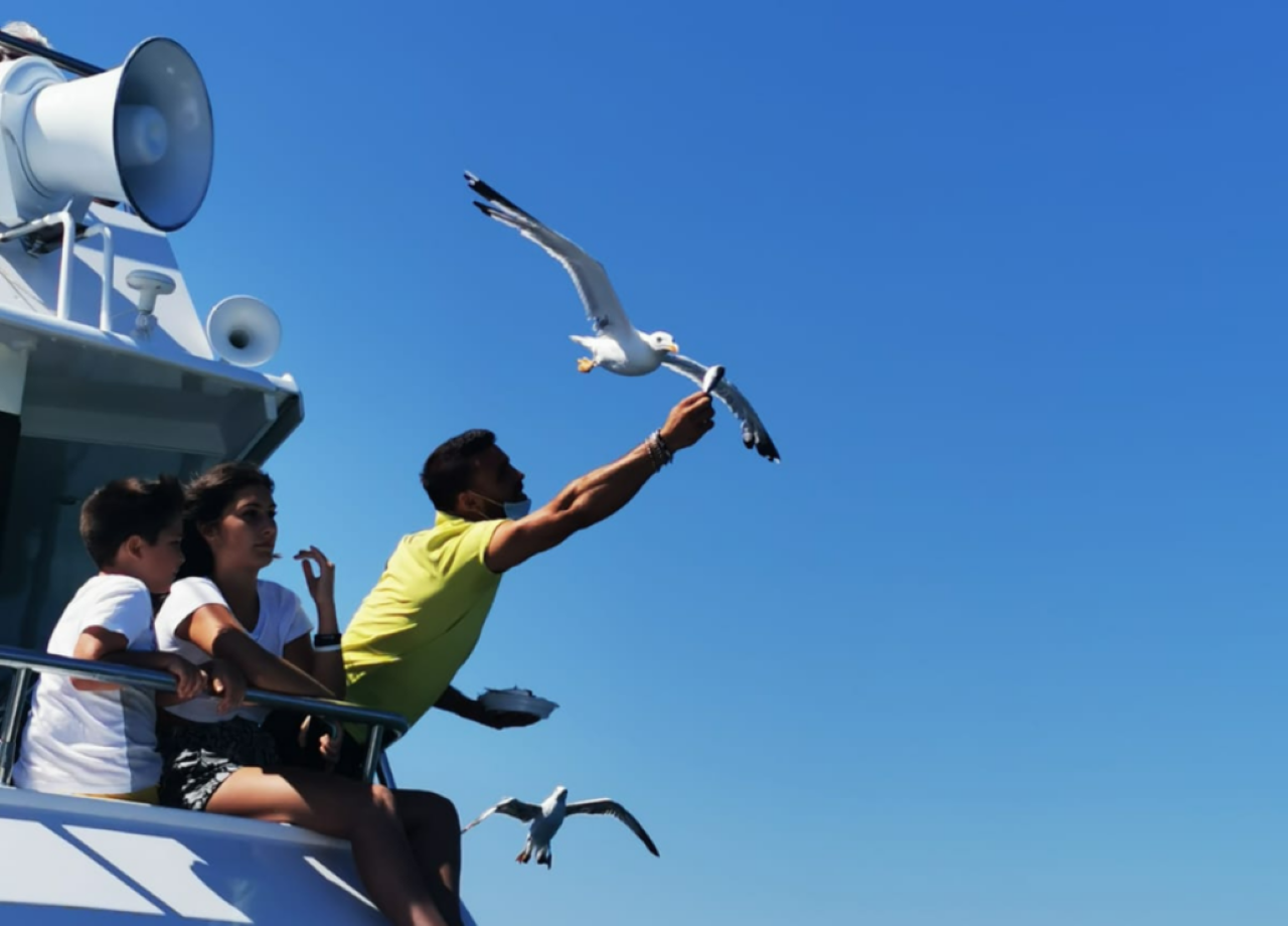 Riviera Romagnola Half-Day Boat Tour - Photo 17