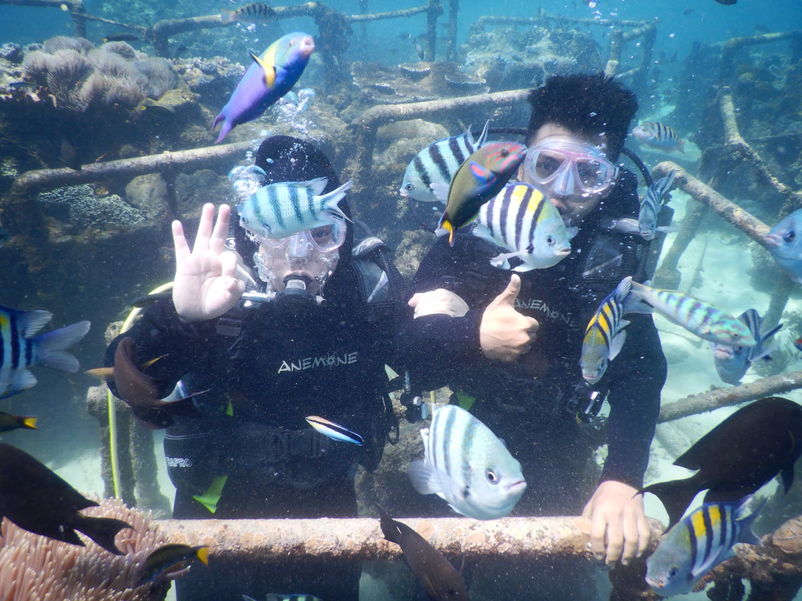Experiencia de buceo privado en Bali en Nusa Dua - Foto 3
