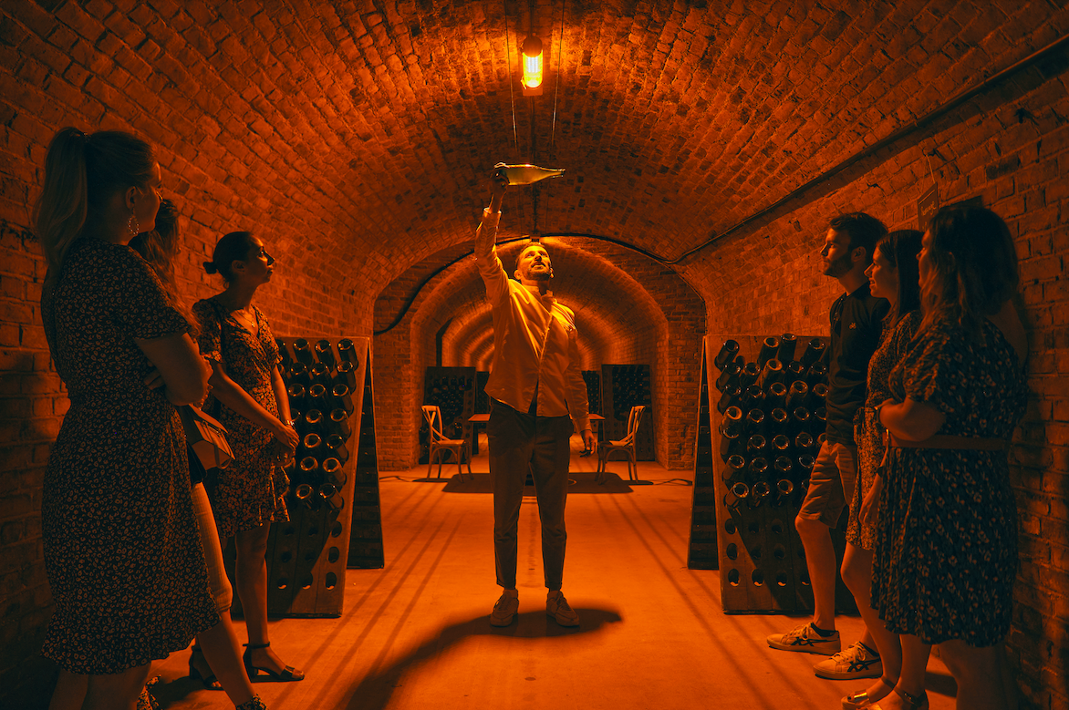 Tour de un Día por la Región de Champagne: Veuve Clicquot y Bodega Familiar con Almuerzo desde Reims en Semiprivado - Alojamientos en Reims