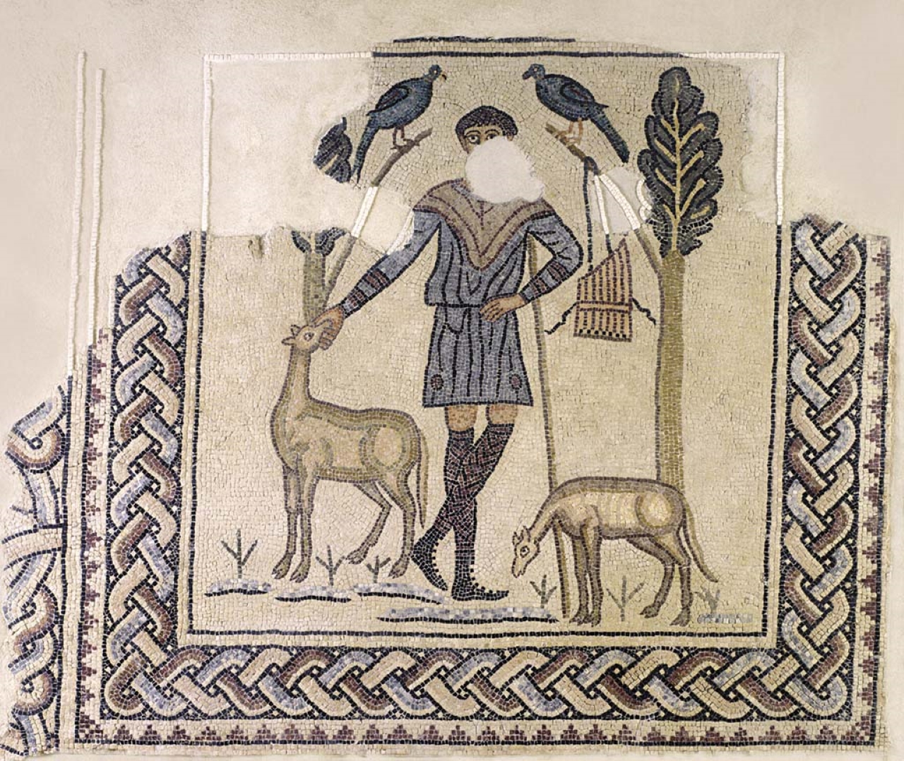 Ravenna: Visit the "Domus of Stone Mosaics" Archaeological Site - Photo 14