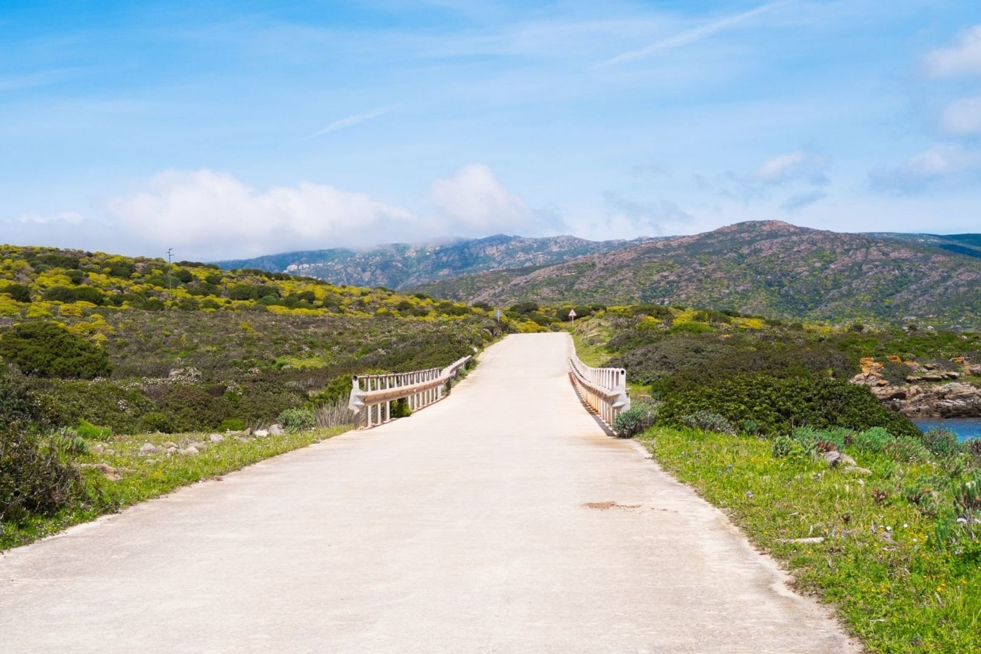 Rent an e-bike and discover Asinara from Porto Torres - Photo 15