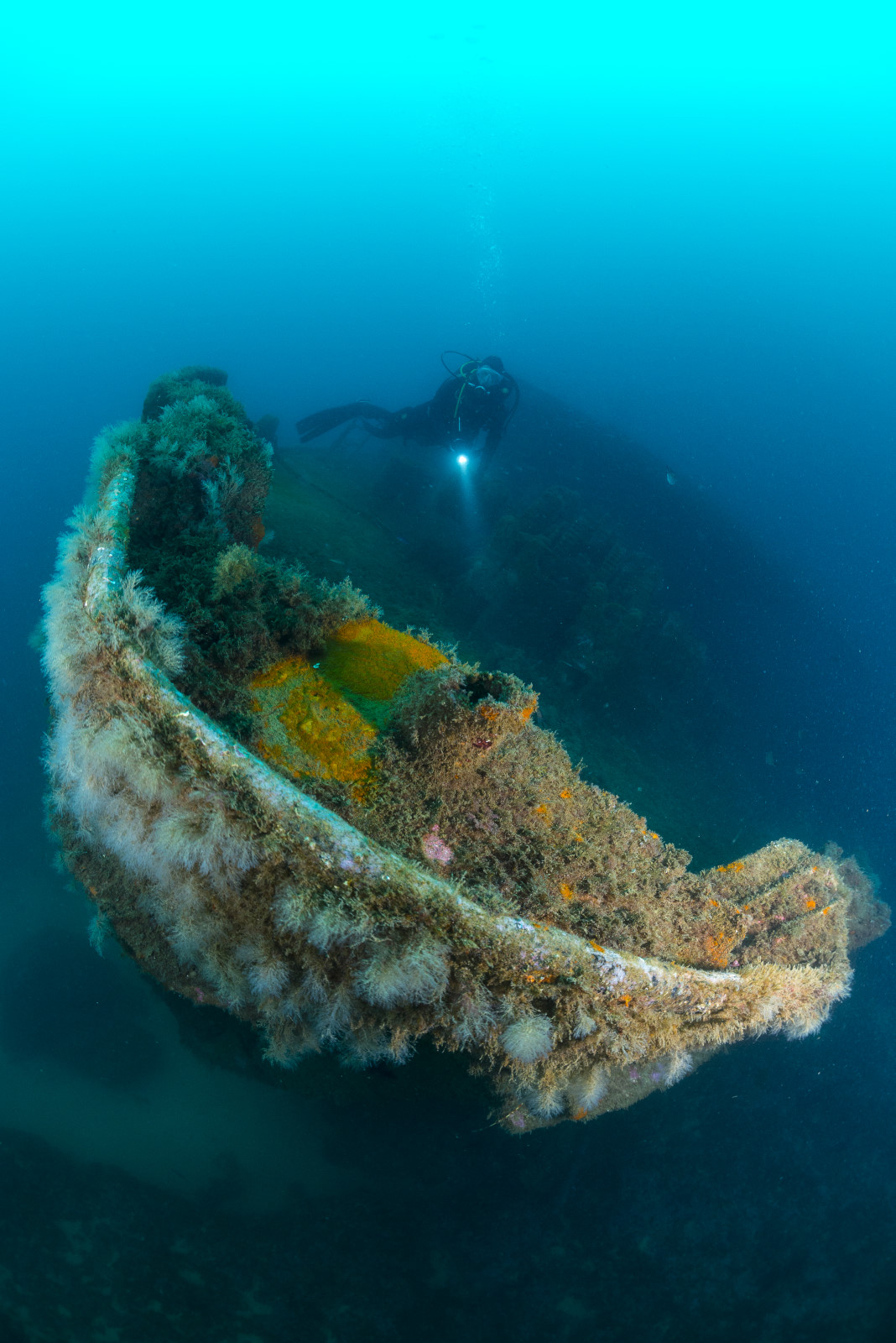 PADI Open Water Diver - First diving title - Photo 4