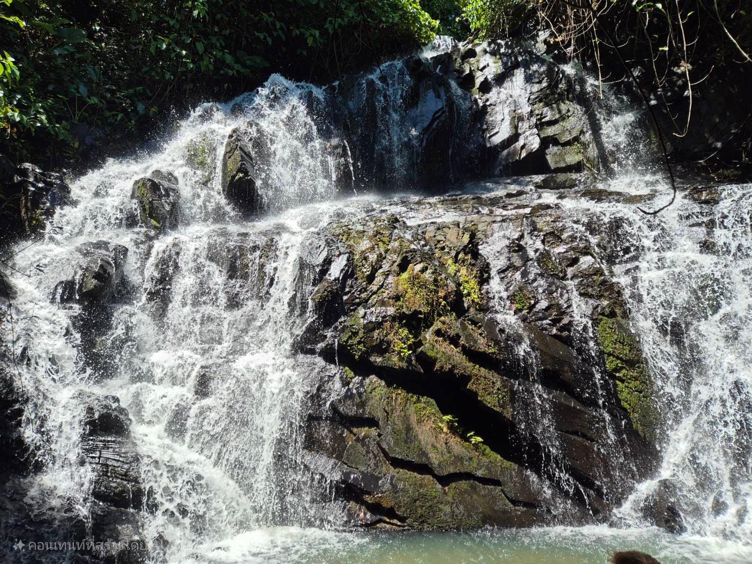 Día de 4 elementos con expedición de aventura en tirolesa - Foto 3