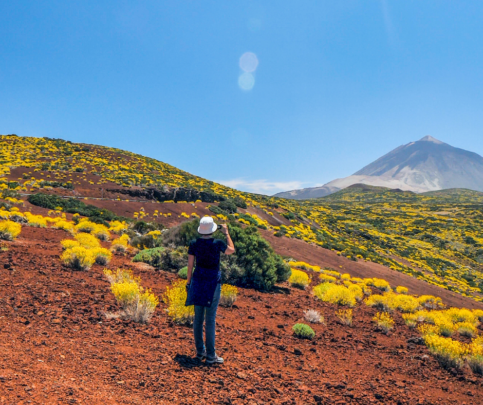 Teide y Delfines, un día mágico! - Photo 5
