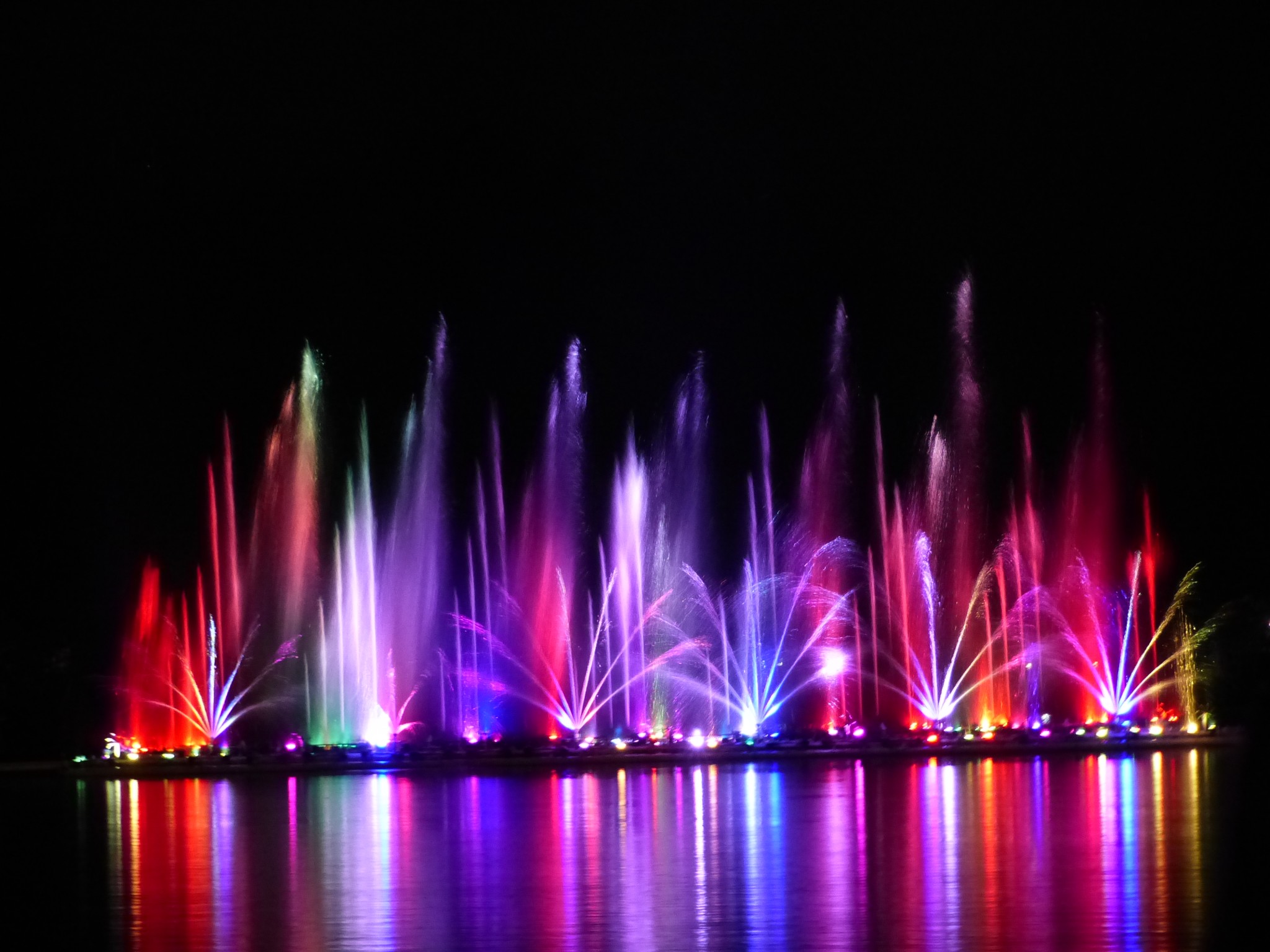 Parque Safari diurno o nocturno de Chiang Mai - Foto 5