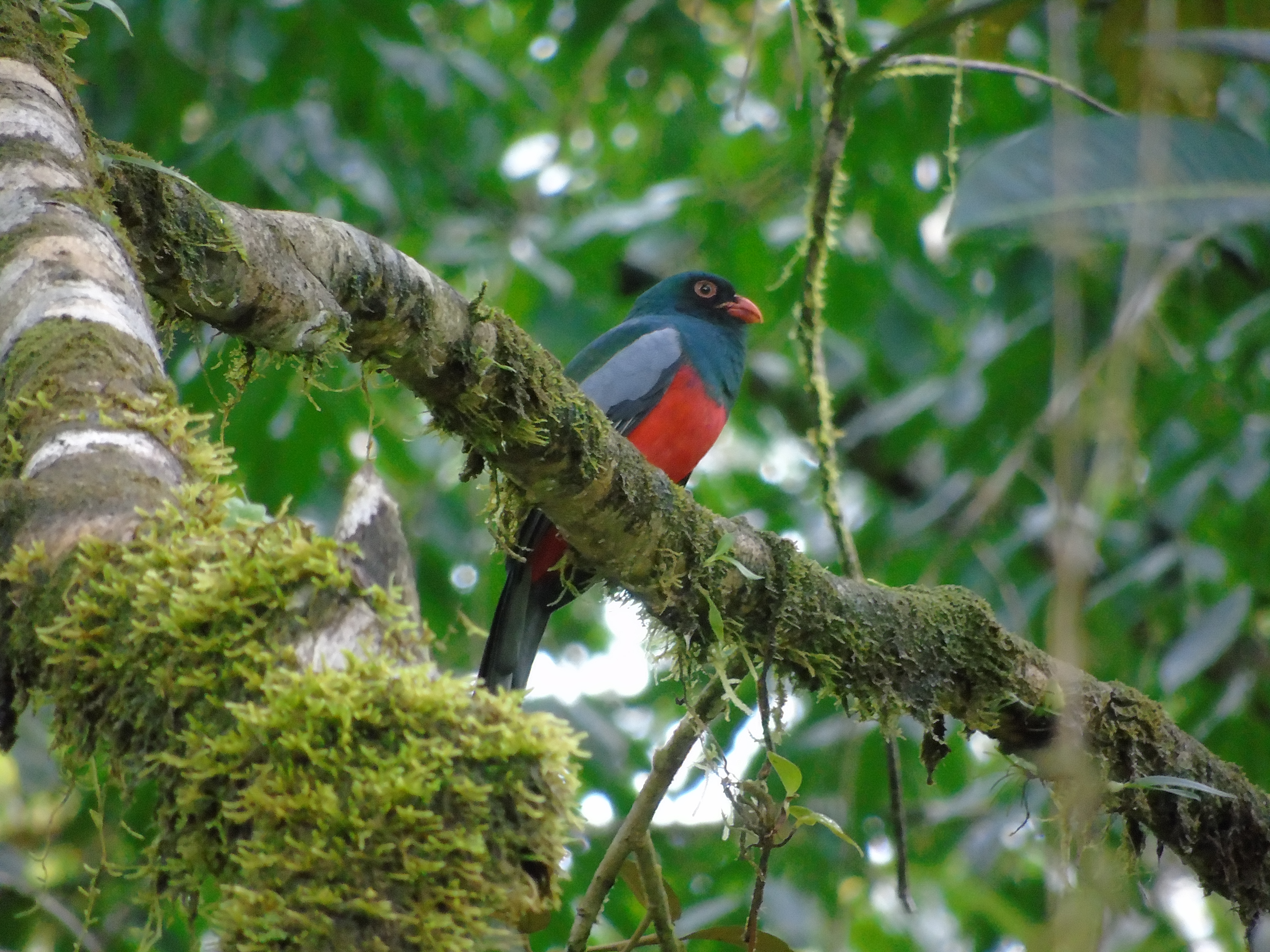 Bird Watching Tour 5