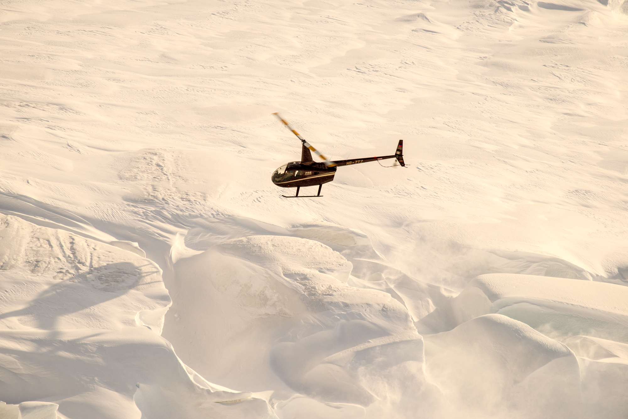 Glacier Expedition  - photo 3