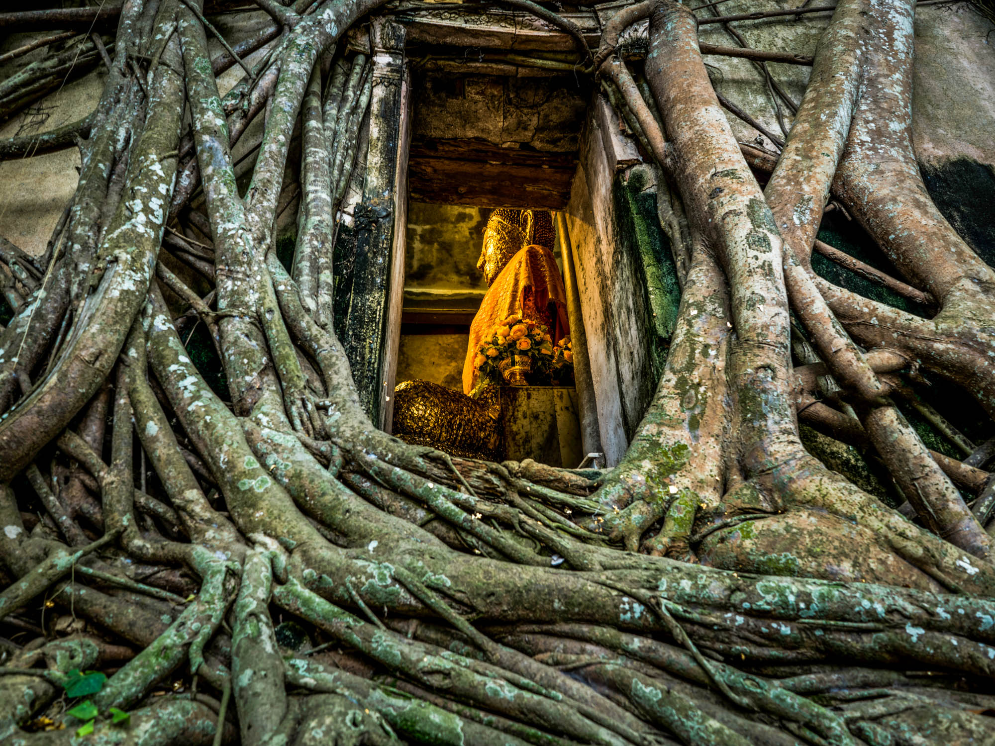 Amphawa Floating Market and Maeklong Railway Market Tour with Semiprivate or Private Option and Pickup - Accommodations in Bangkok