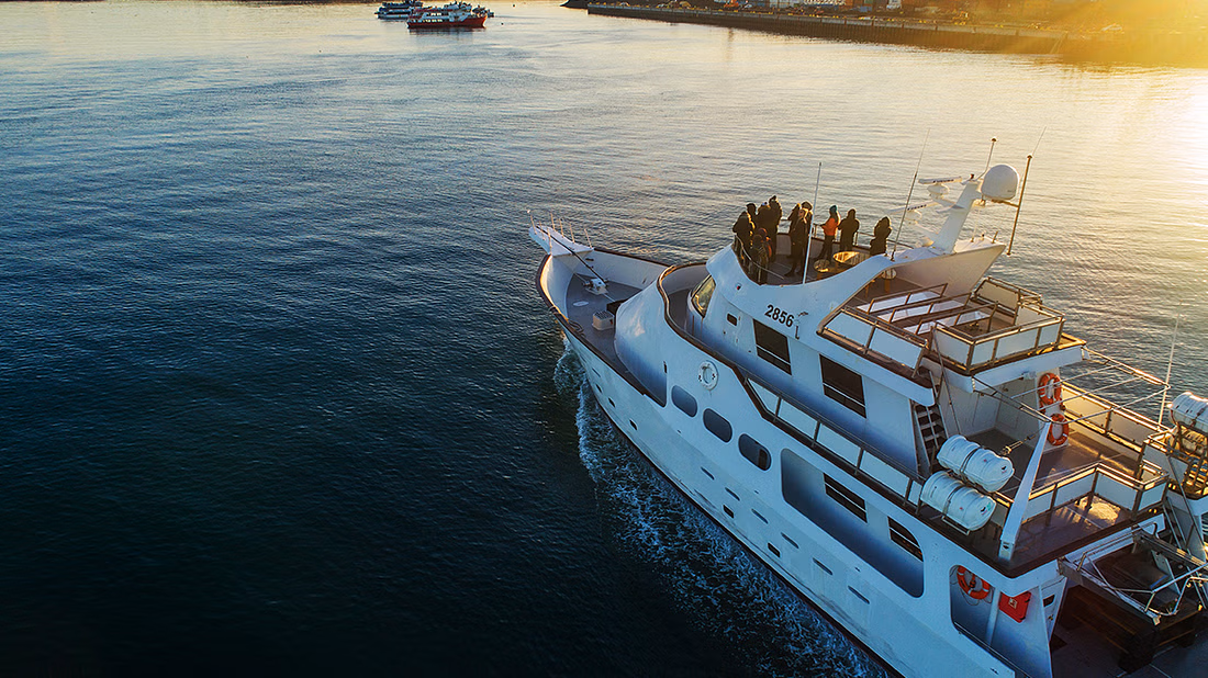 Sailing with Giants: Whale Watching from Reykjavik - photo 8