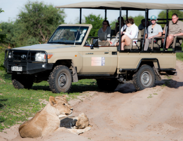 Safari Game Drive - Parque Nacional Chobe [Botswana]