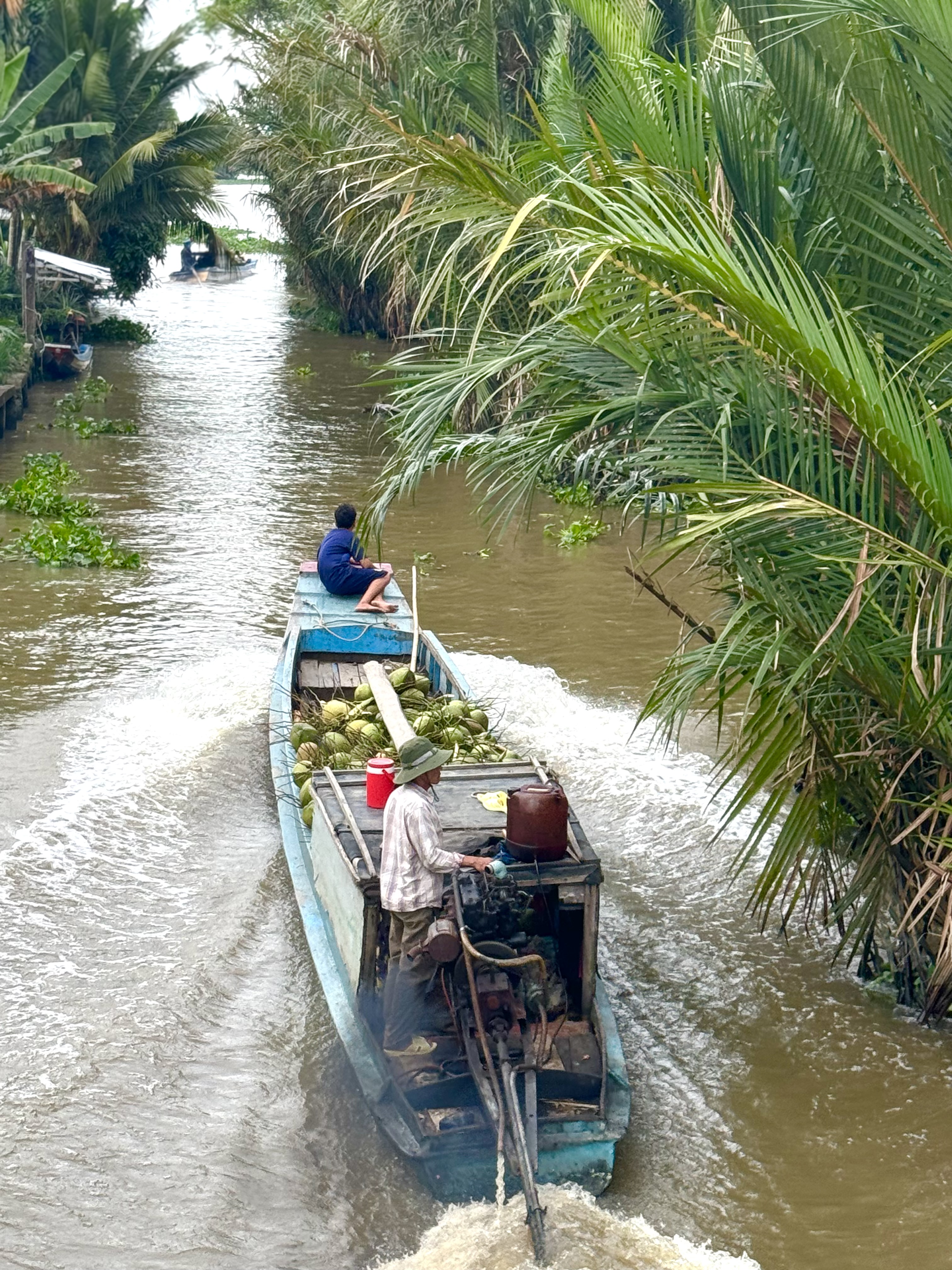 Explore U Minh Thuong Forest and The Bike trip In Pineapple Villages