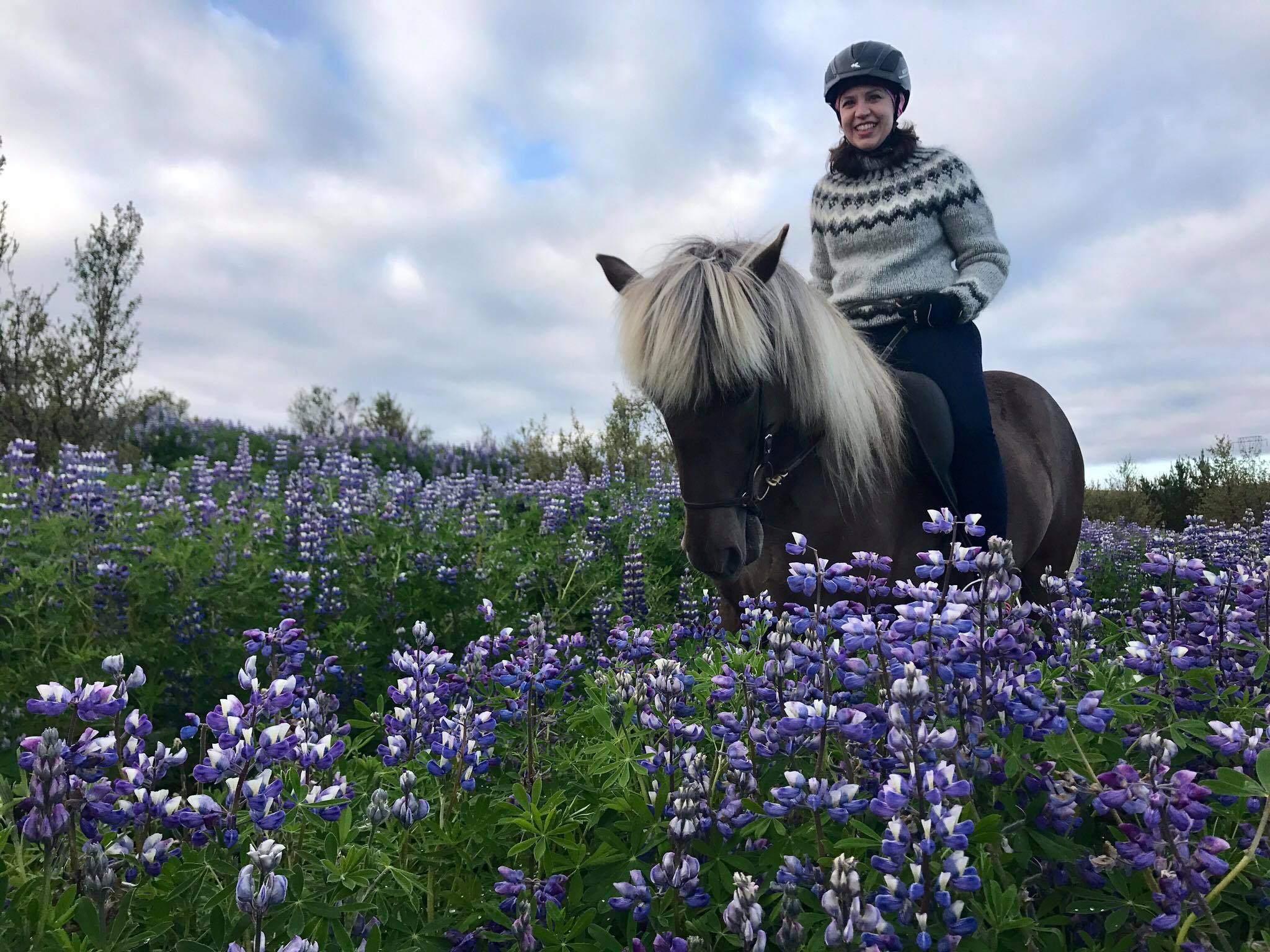 On request: 1,5  Hours Private Tour  - photo 7