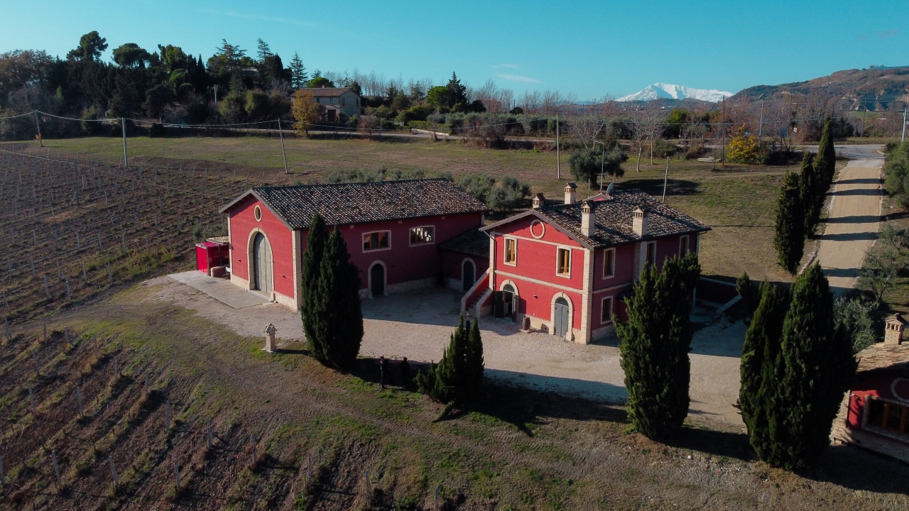 Marche: unique visit and tasting at Cantina D'Erasmo amidst signature wines - Photo 4