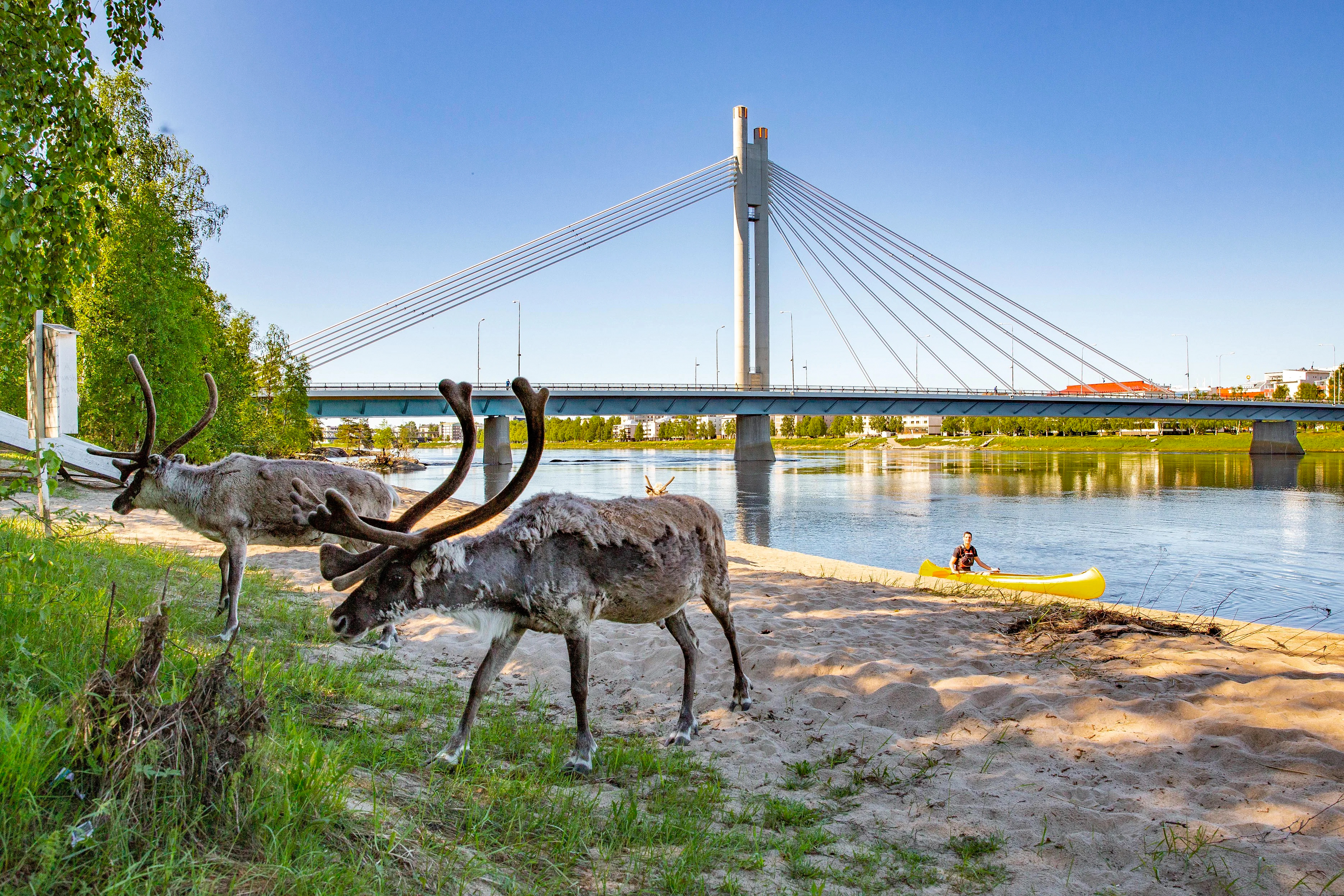Cultural Canoe Trip around Rovaniemi – Image 1 | WeShare
