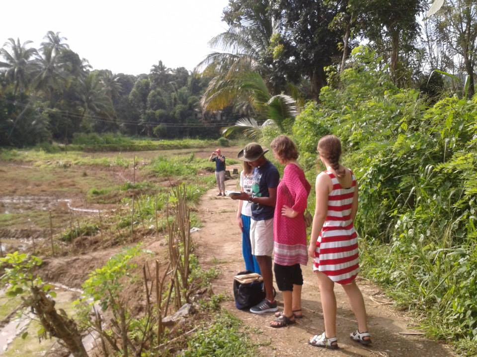 Light Trekking in Kandy Countryside