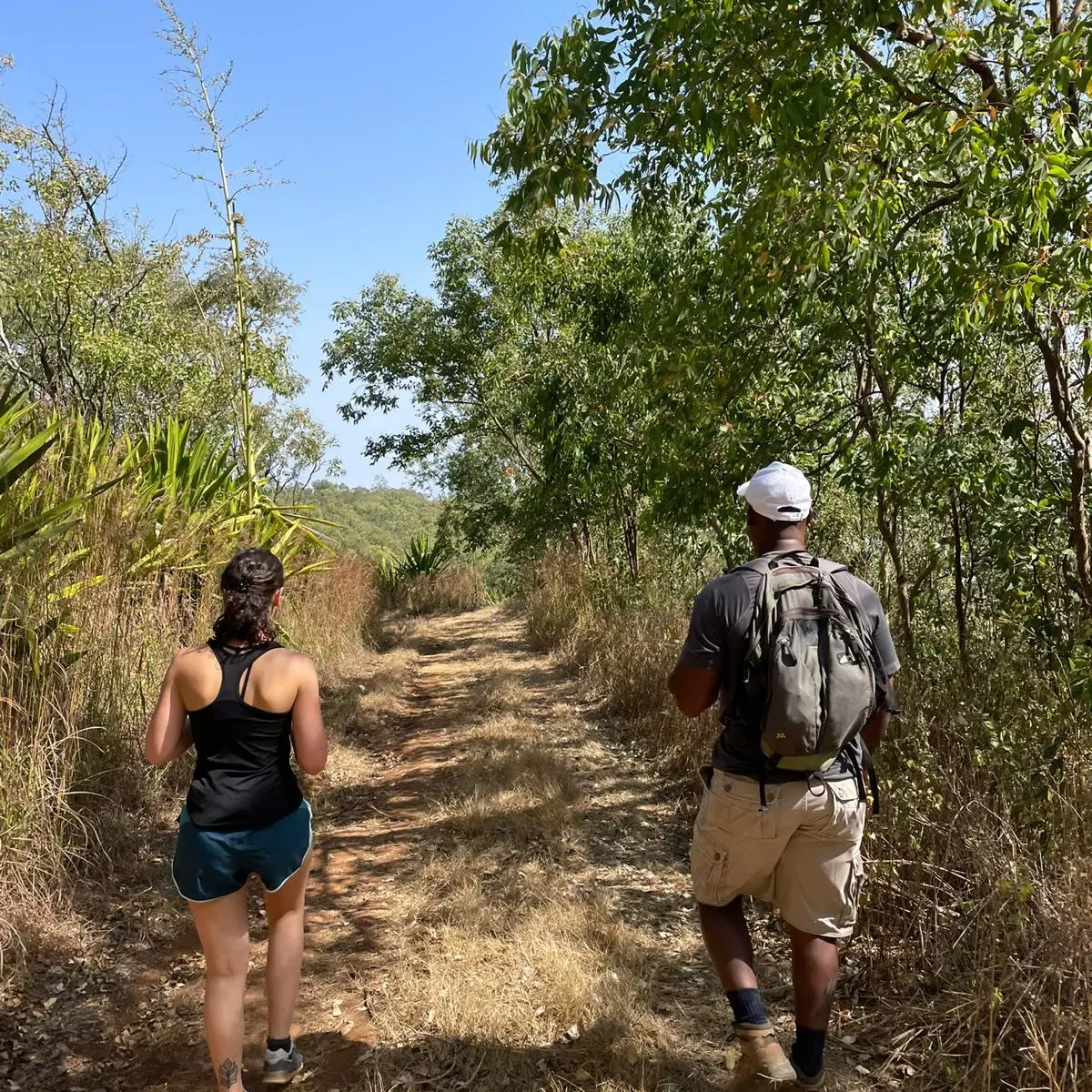 Discover the Peaks of Serra Malagueta: Guided Nature Hike