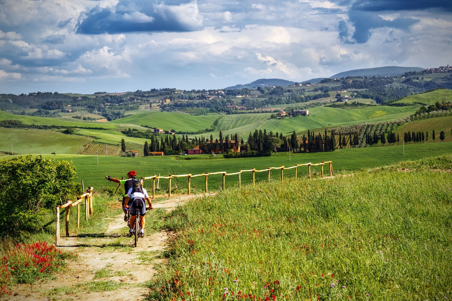 Full day E-bike rental in San Gimignano - Photo 4