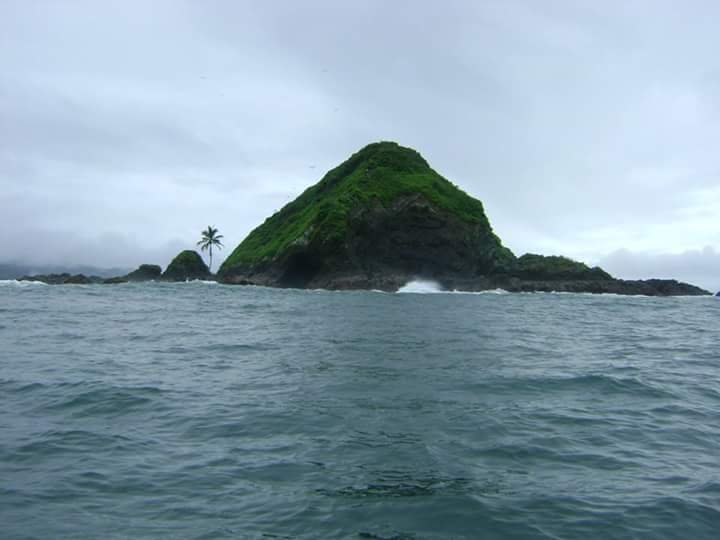 Private Transfer SJO Airport to/from Dominical Pacific Coast Hotels | GTC Own Fleet – photo 4