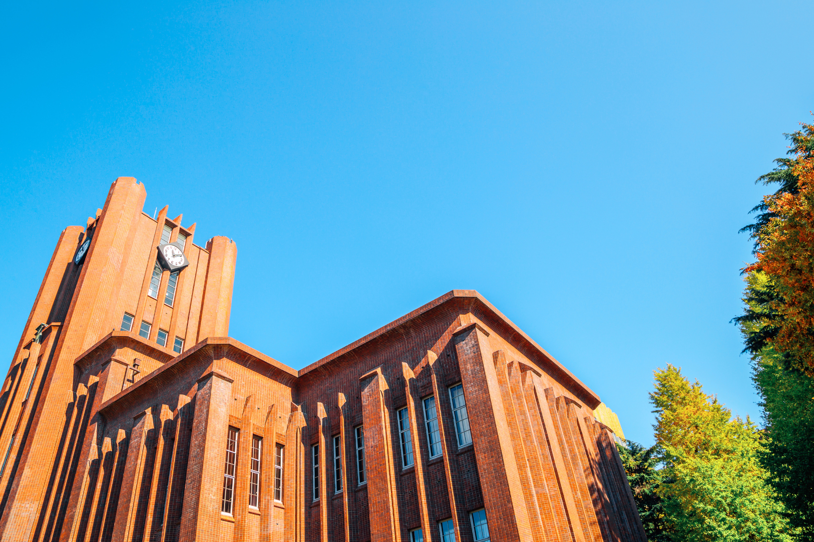 Tokyo Üniversitesi | En İyi Üniversite Mezunları Tarafından Düzenlenen Yürüyüş Turu
