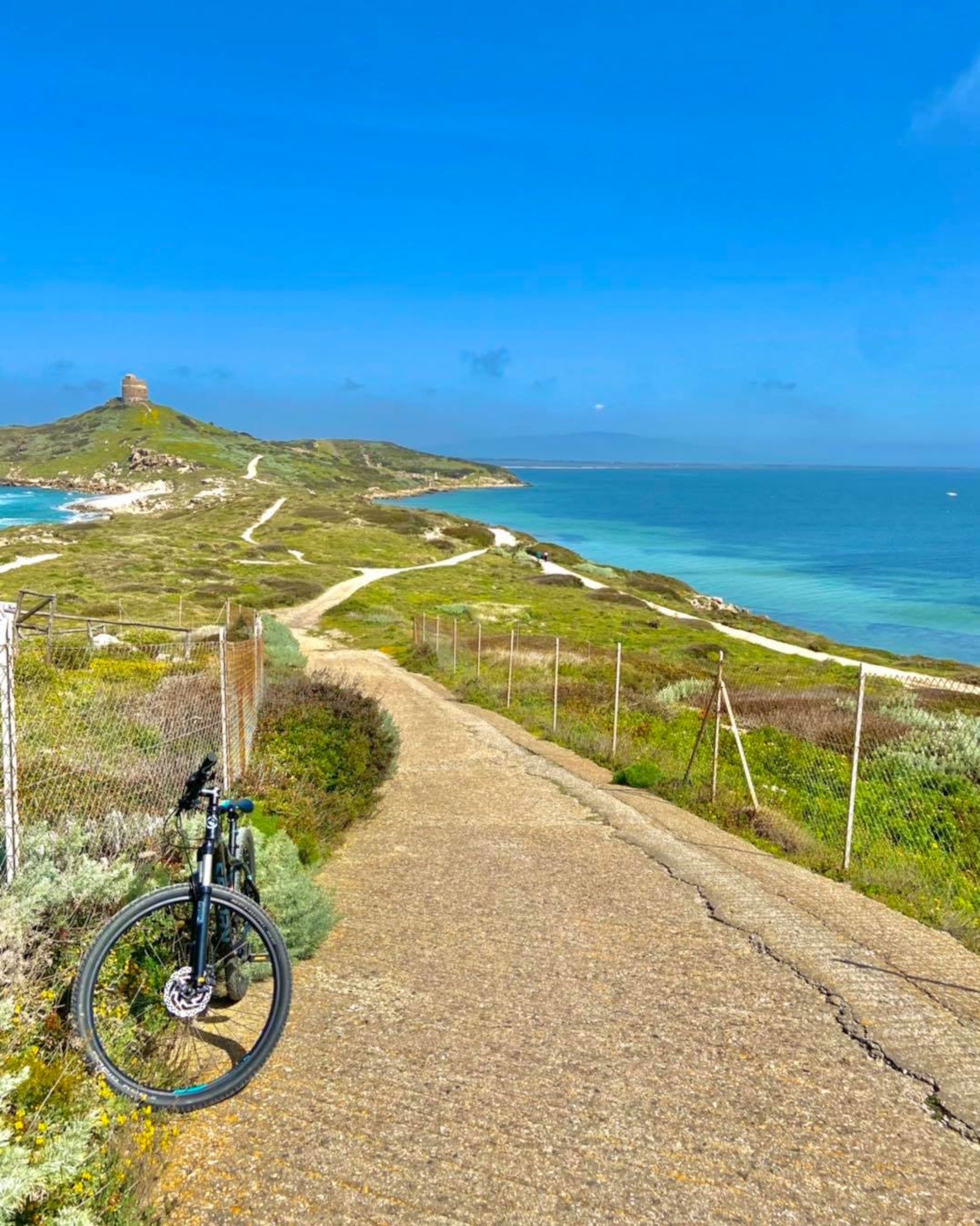 From Oristano: bike tour in the Sinis Peninsula - Photo 2