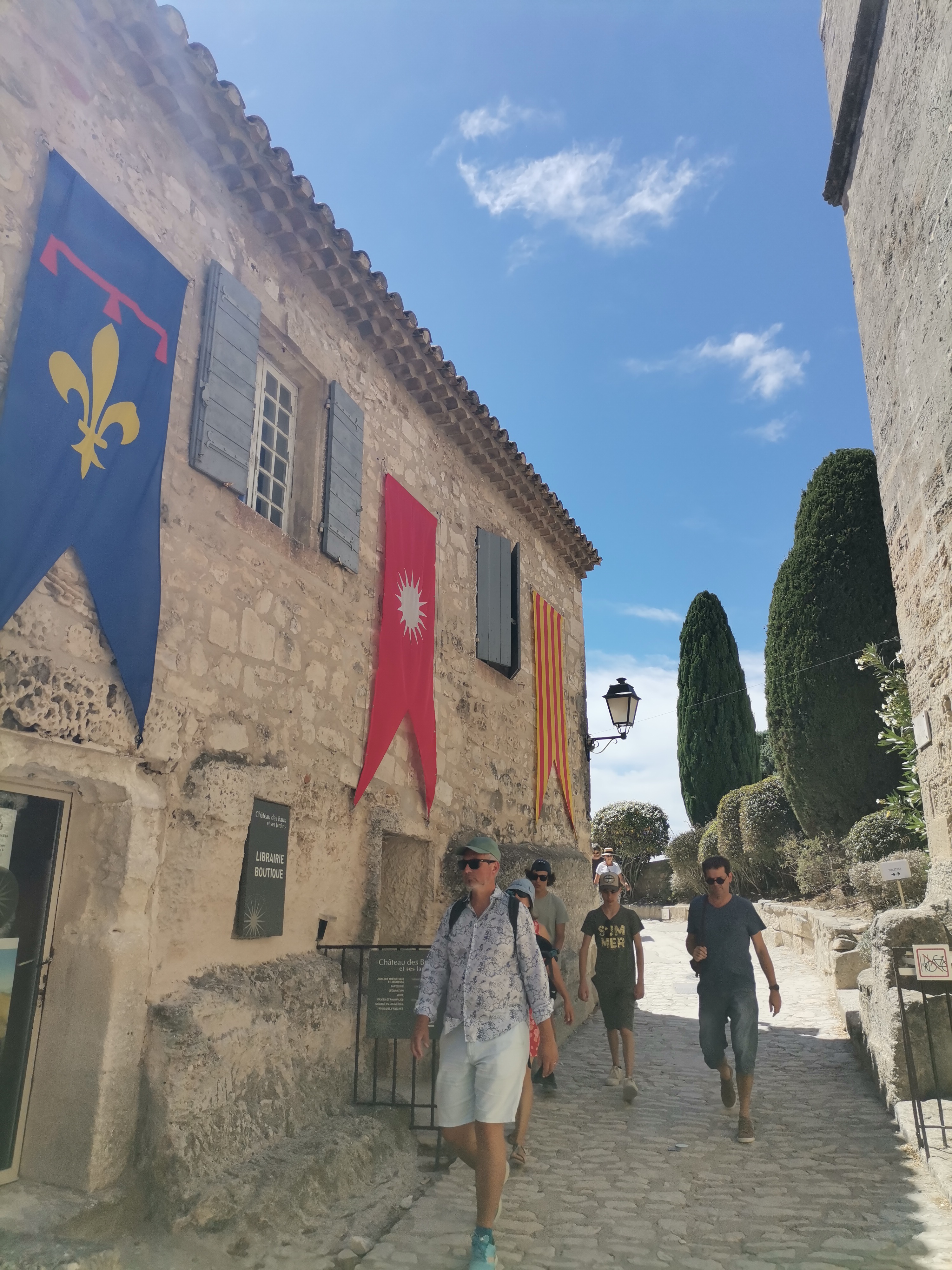 Arles et Les-Baux-de-Provence...  the splendor of Provence lifestyle - Photo 19