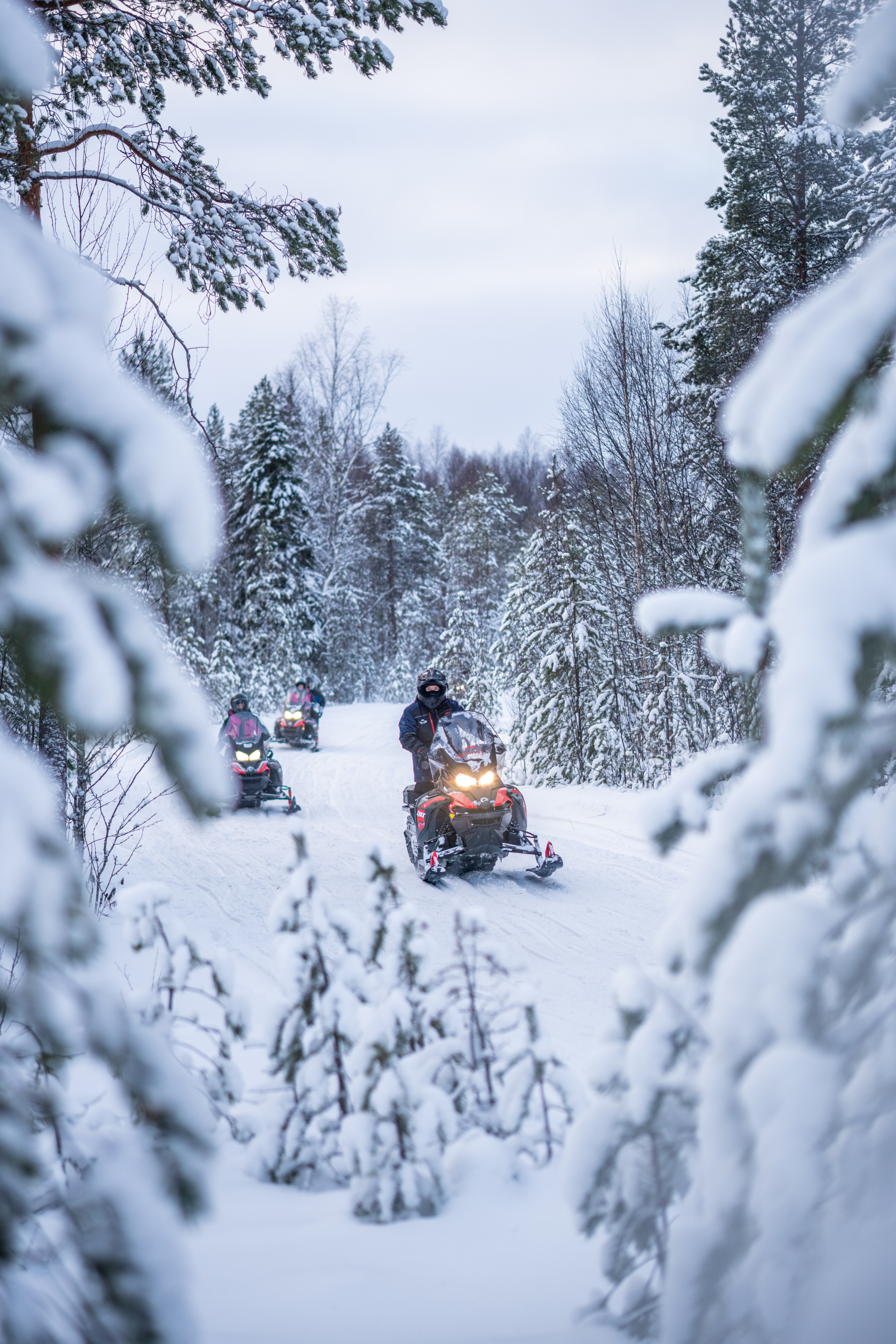 Paseo en moto y raquetas de nieve por Vikaköngäs + Aldea de Papá Noel con Recogida en Grupo Reducido - Alojamientos en Rovaniemi