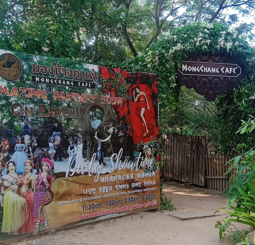 Mong Chang Cafe Pattaya Elephant Village – Image 2 | WeShare