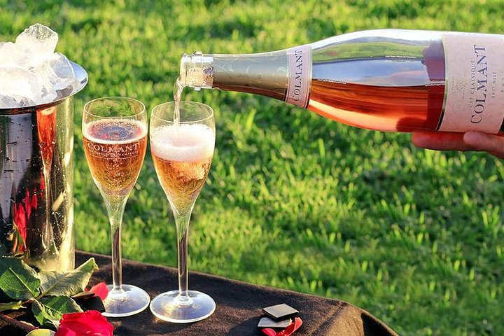 (Cape Town Tour) 3Days -Robben Island getaway & Table Mountain Car & wine taste  - Photo 8