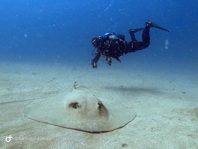 Bautizo de Buceo en Playa Blanca (dos inmersiones)