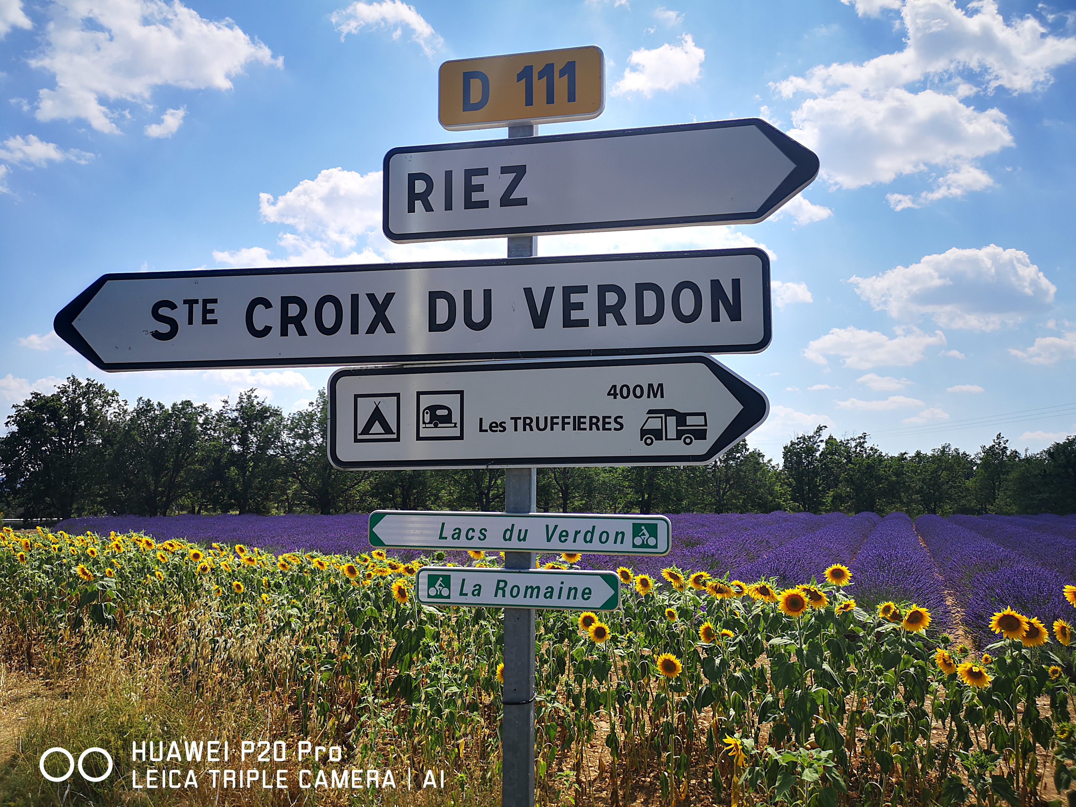 Marseille Shore Excursion: Private Day Trip to Manosque, Valensole, Moustiers Ste Marie and Lake Ste Croix - Photo 3