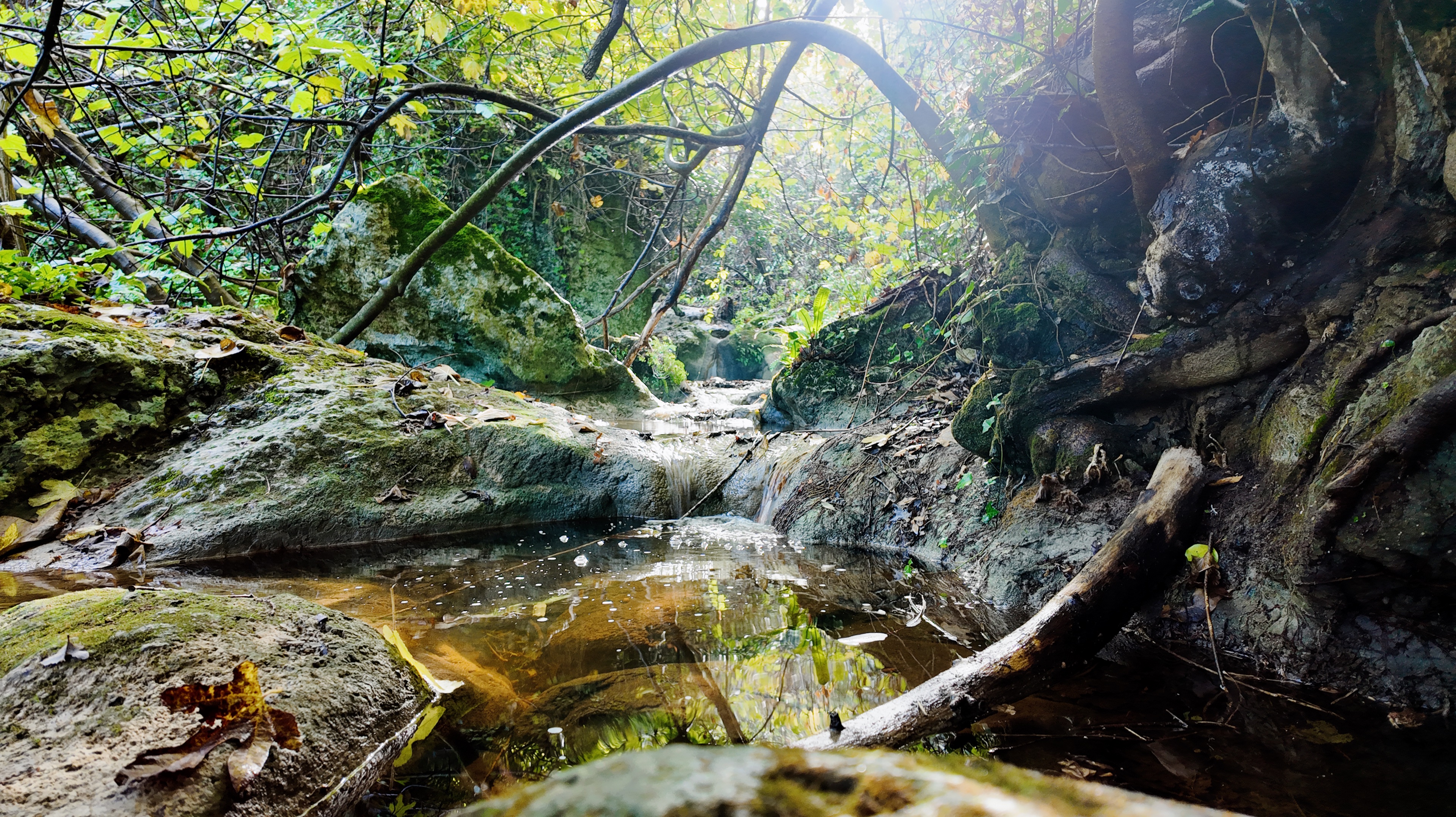 Sassari: hiking with donkeys in Cargeghe and aperitif - Photo 6