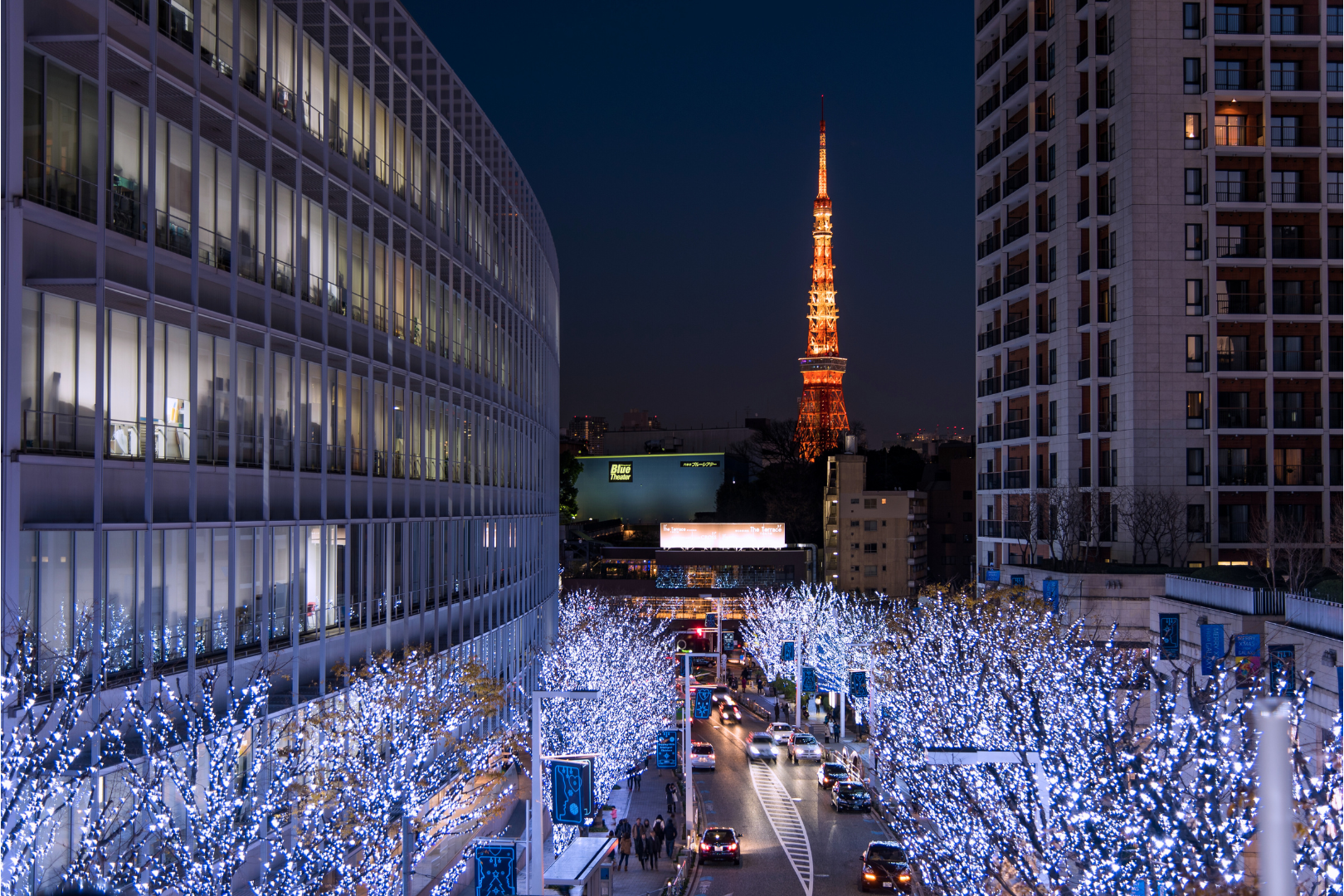 Tokyo Layover | Classic Night View Tour- Roppongi hills & Shibakoen