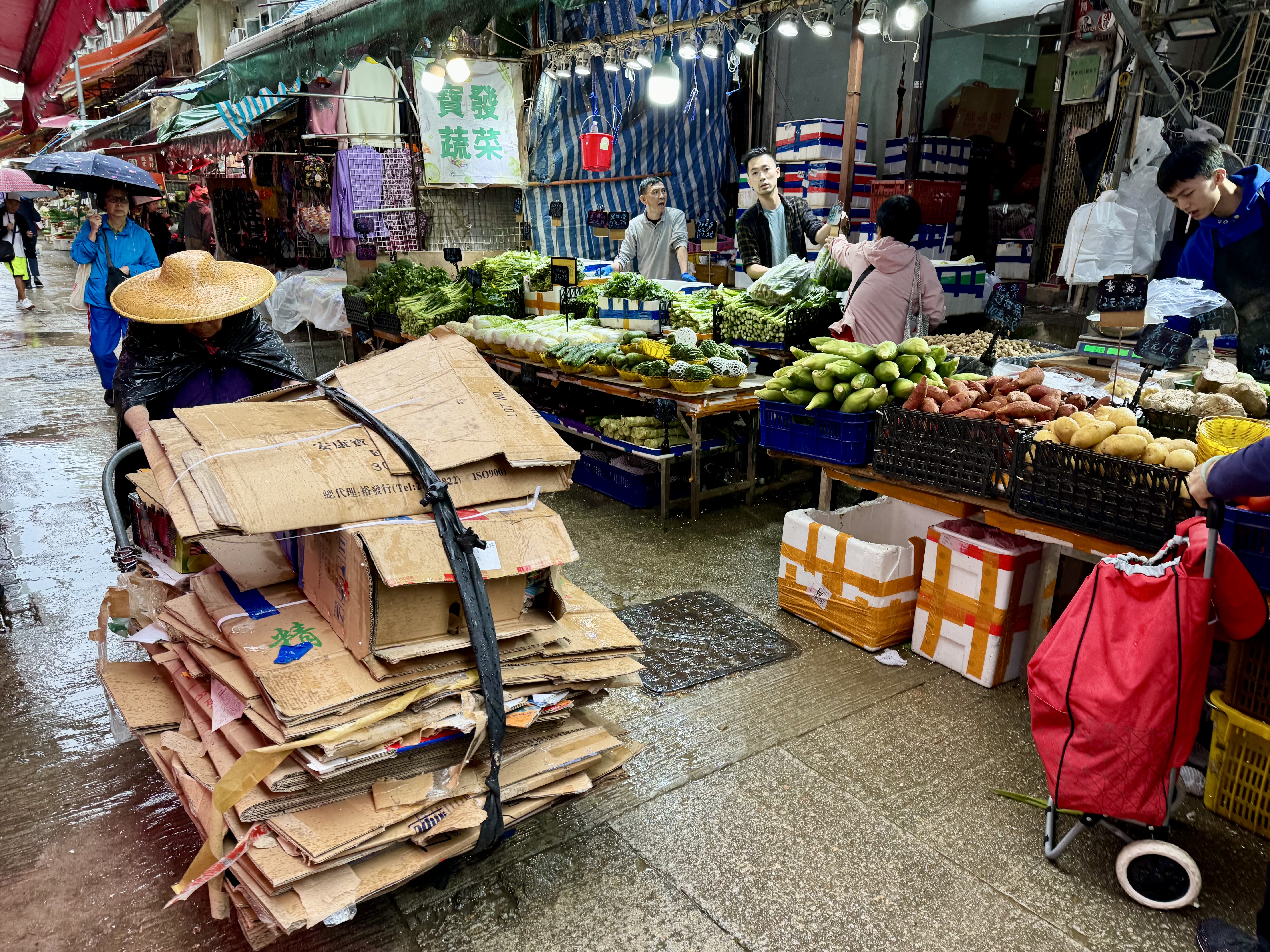 Guided Tour of the New Territories with Tsz Shan Monastery in Private Service - Accommodations in Hong Kong
