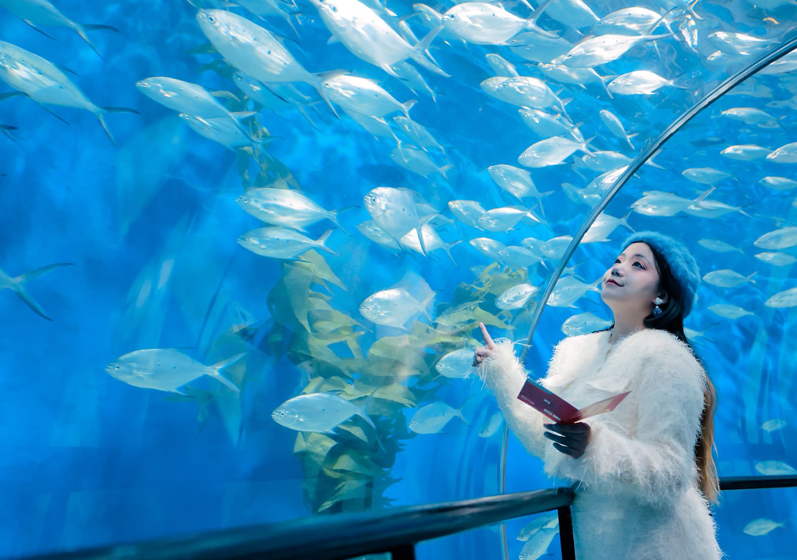 Shanghai Ocean Aquarium Entry Ticket