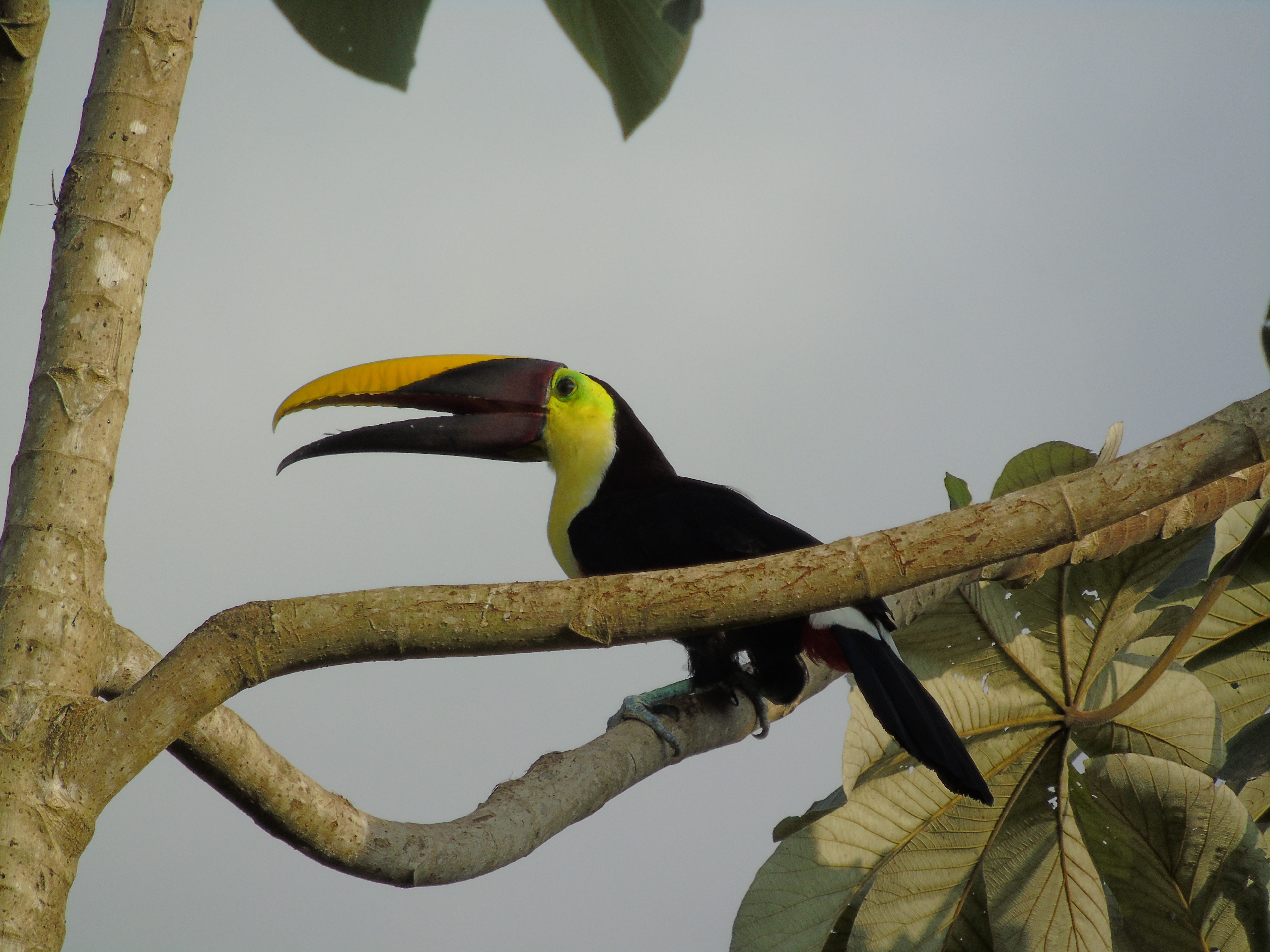 Bird Watching Tour 7